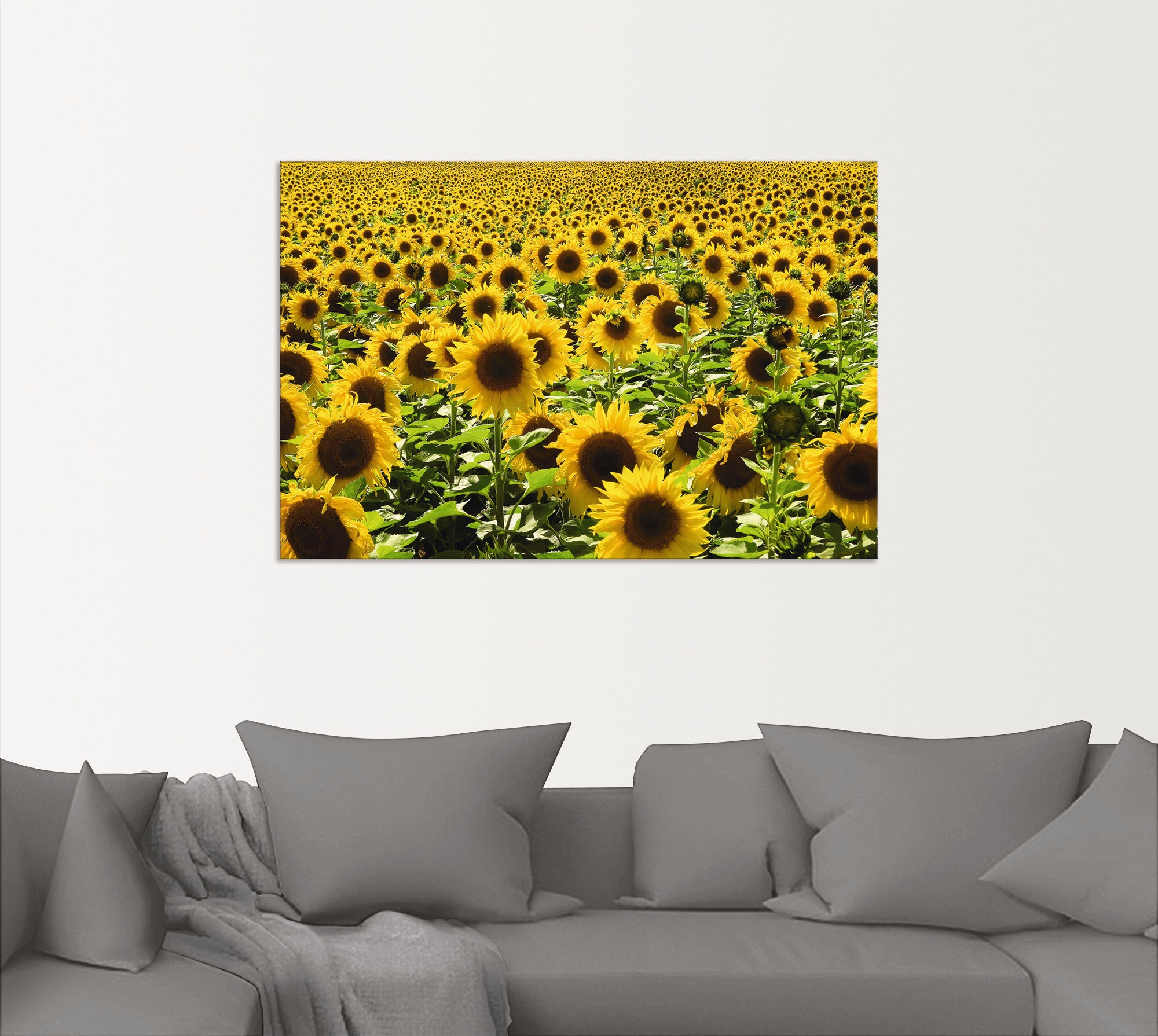 Artland Wandbild »Sonnenblumenfeld« Blumen 1 Stk. tlg. als Alubild, Leinwandbild in verschied. Größen