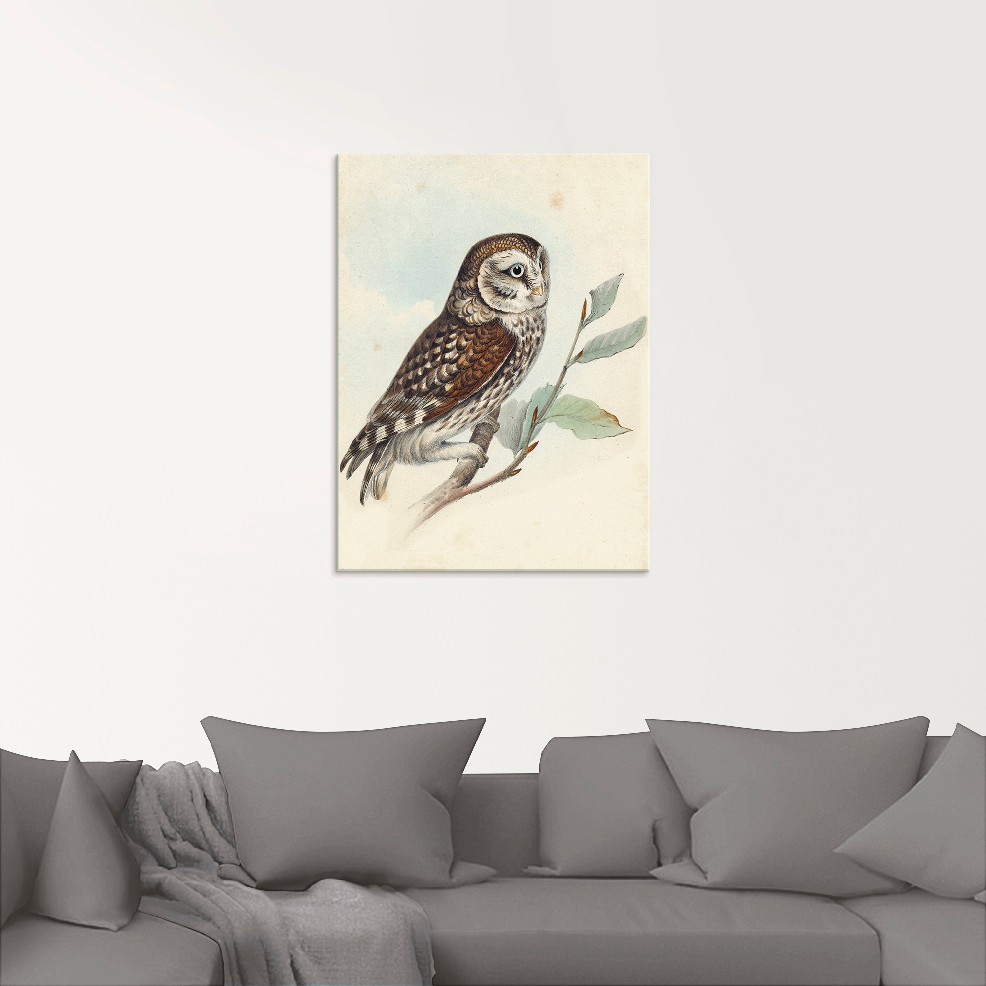 Artland Glasbild »Kleine Eule«, Vögel, (1 St.), in verschiedenen Größen