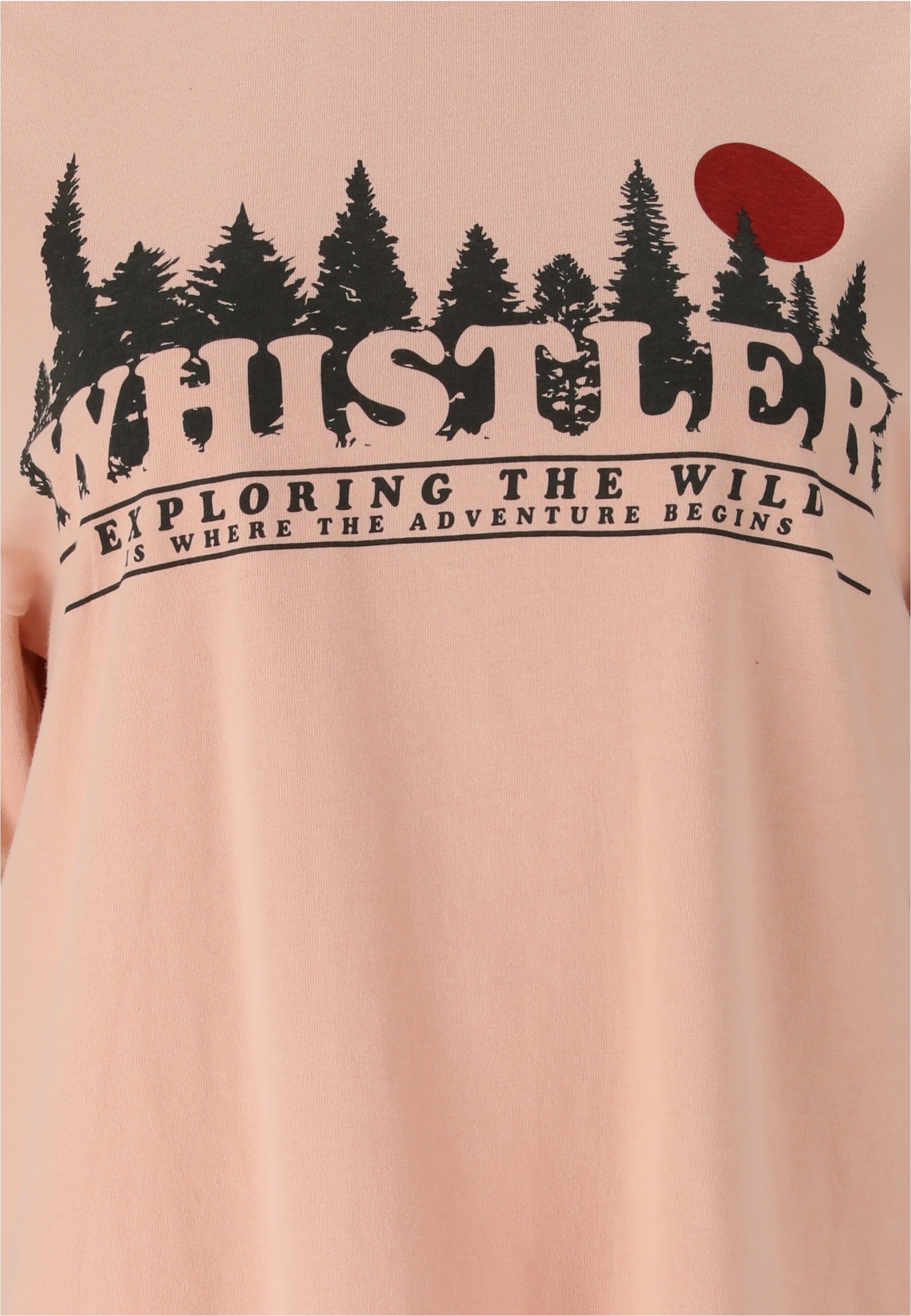 WHISTLER T-Shirt »Cashew« mit atmungsaktiver Eigenschaft