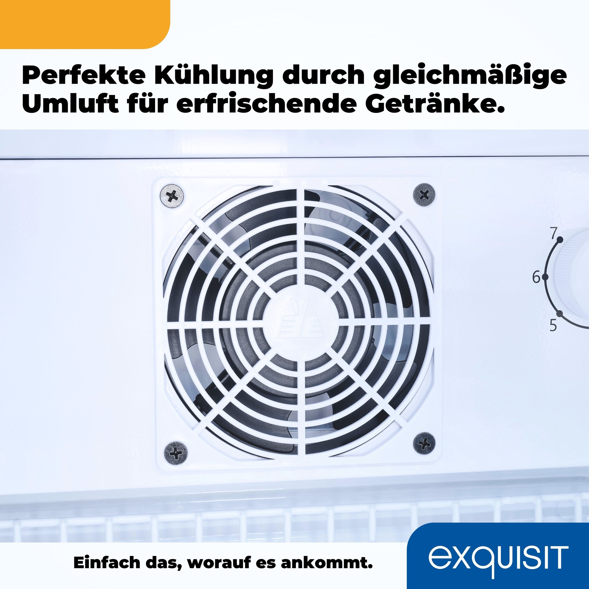exquisit Getränkekühlschrank "GKS240-GT-160C weiss" 140 cm hoch 54 cm breit günstig online kaufen