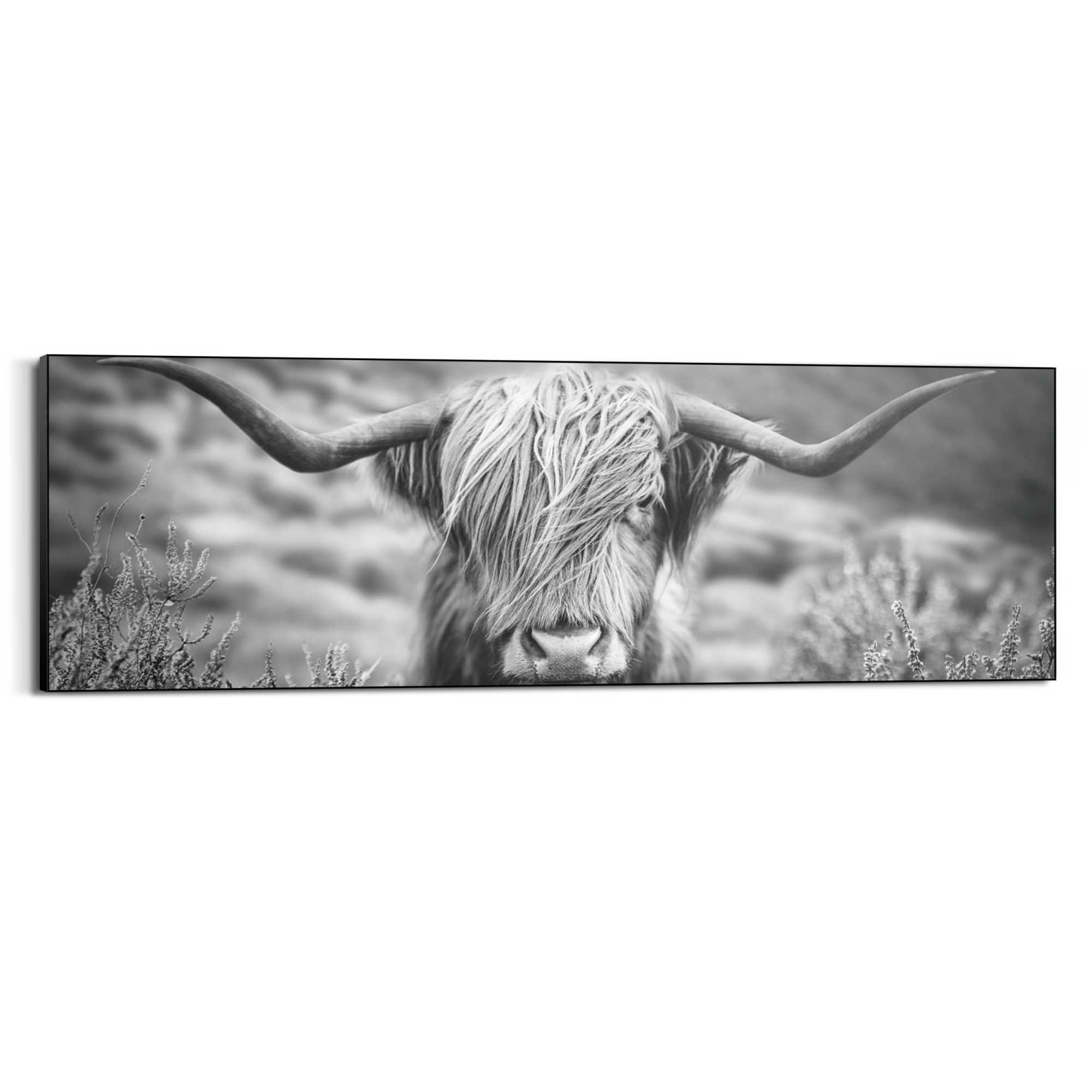 Reinders Wandbild "Highlander Bulle" günstig online kaufen