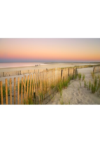 Papermoon Fototapetas »Dunes Cape Cod«