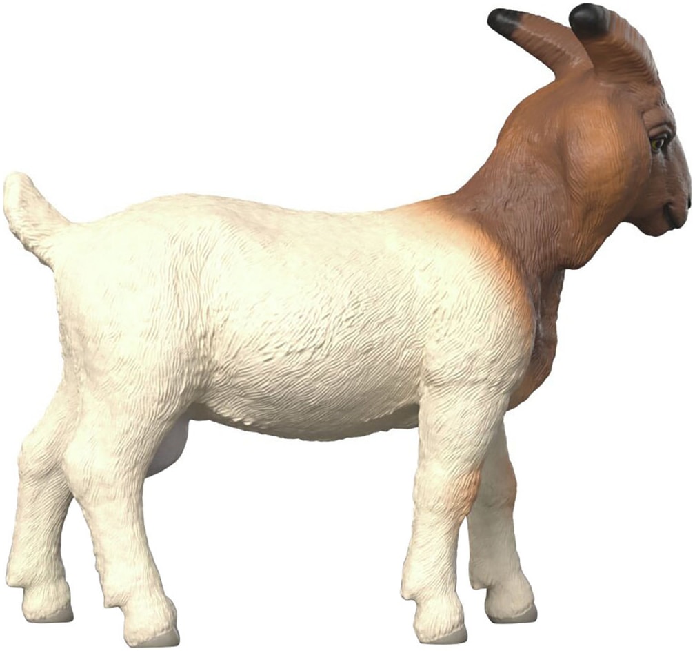 Schleich® Spielfigur »FARM WORLD, Burenziege (14929)«