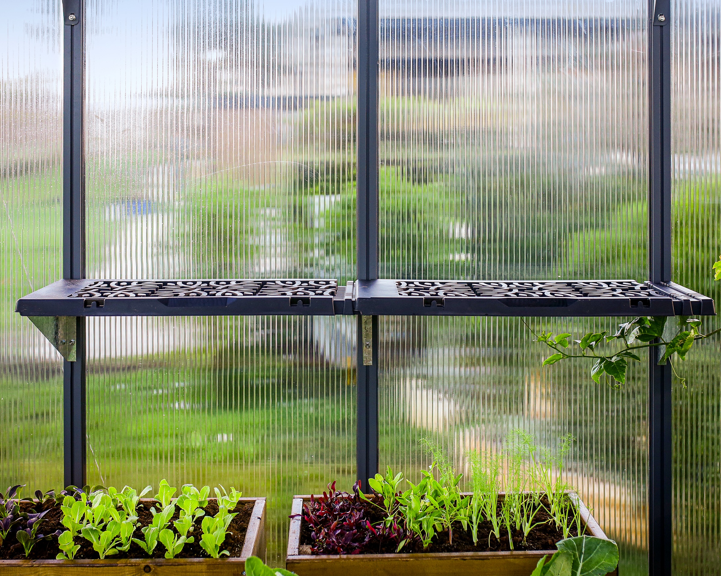 Palram - Canopia Anbauregal "Regalset für Gewächshäuser" Set, 8 Stk. tlg. 2 günstig online kaufen