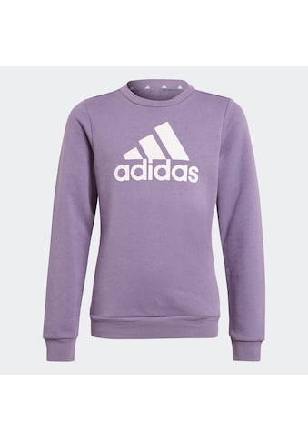 adidas Sportswear Sportinio stiliaus megztinis »G BL SWT...