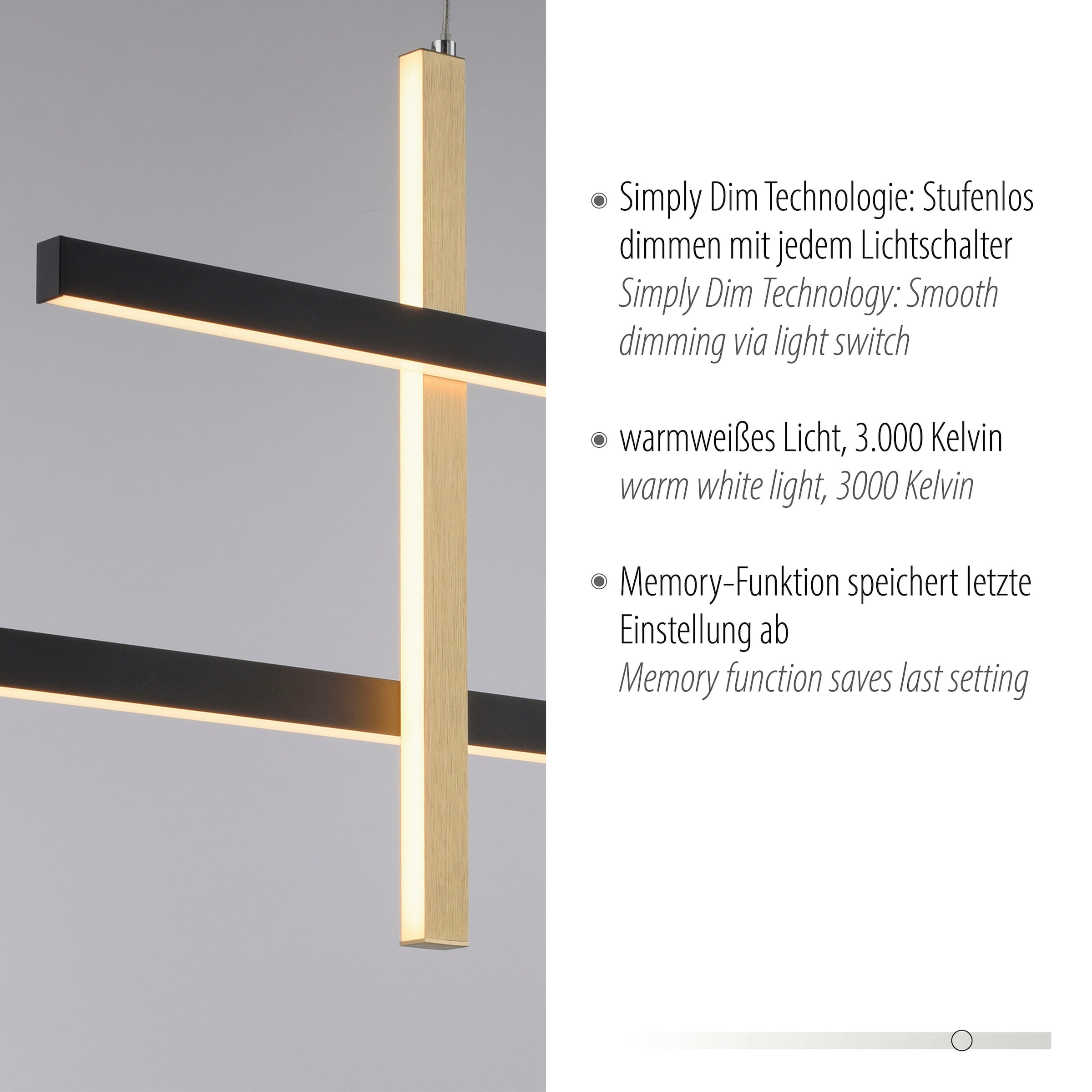 Paul Neuhaus Pendelleuchte »BARRA«, 1 flammig, Leuchtmittel LED-Board | LED fest integriert