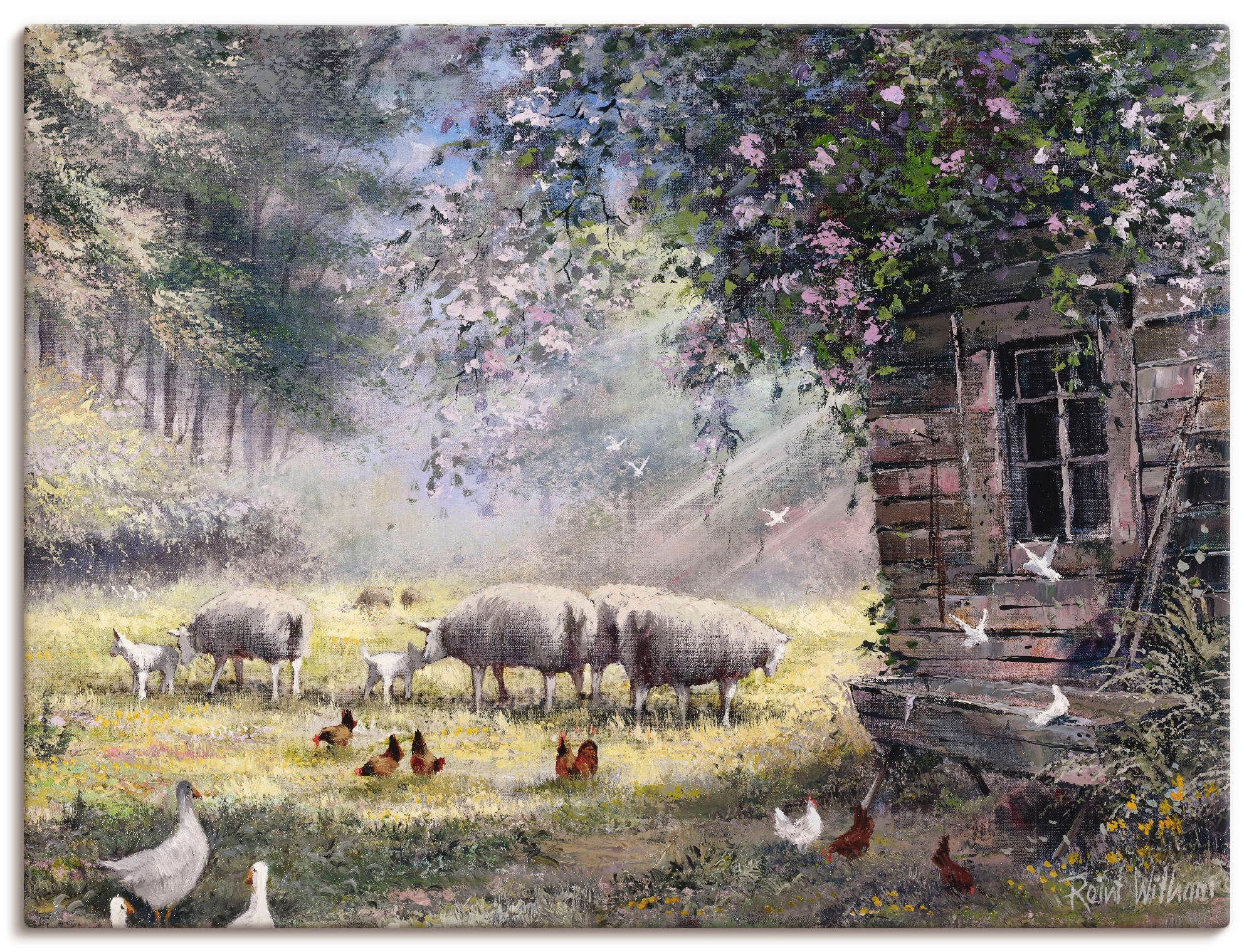Artland Leinwandbild "Hühner und Schafe" Haustiere 1 Stk. tlg. auf Holzrahmen gespannt