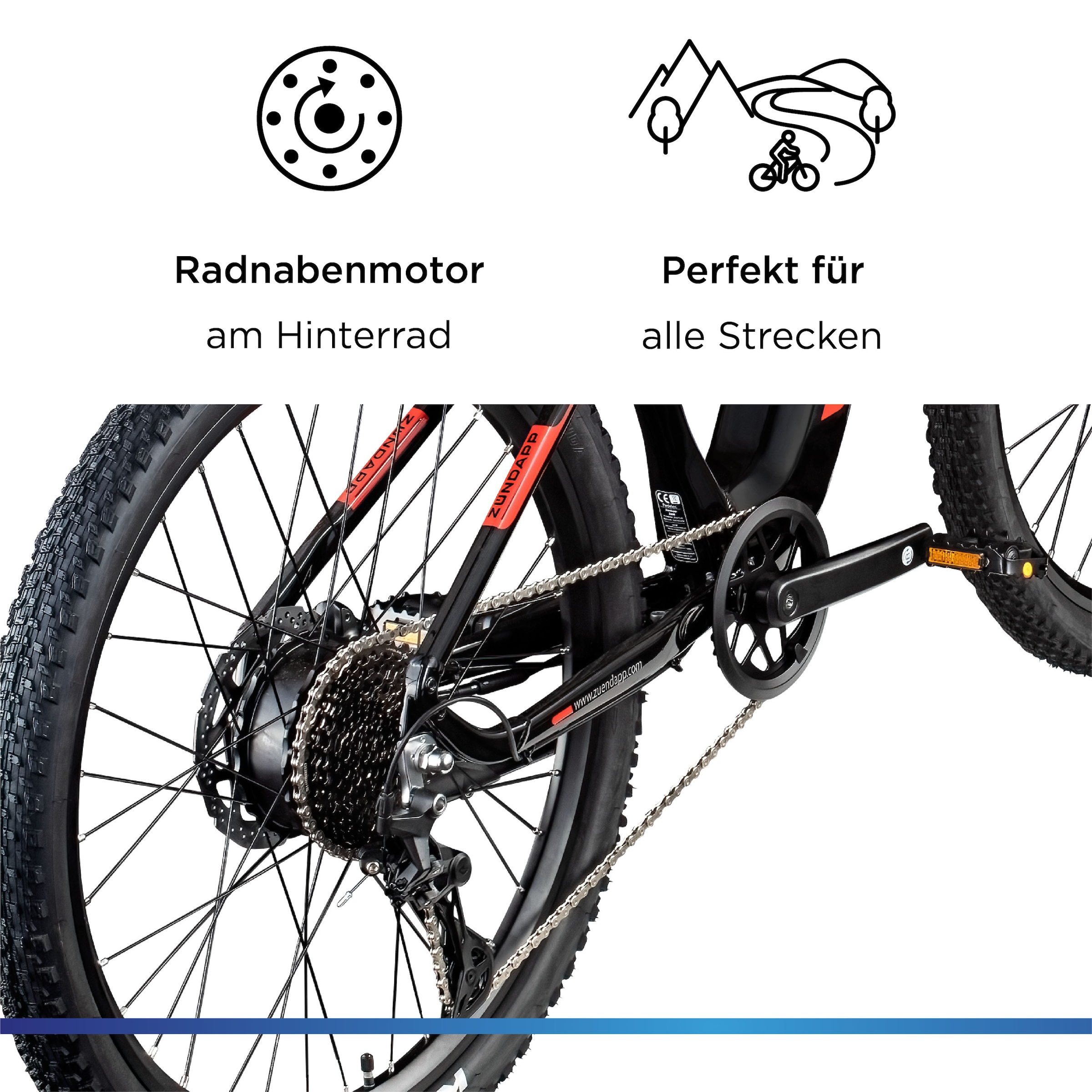 Zündapp »Z898« 10 Gang Kettenschaltung Heckmotor 250 W Pedelec, Elektrofahrrad für Damen u. Herren, MTB