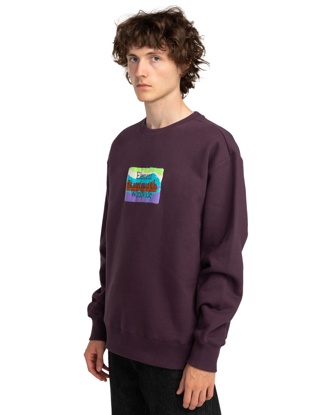 Element Sweatshirt "From Here" günstig online kaufen