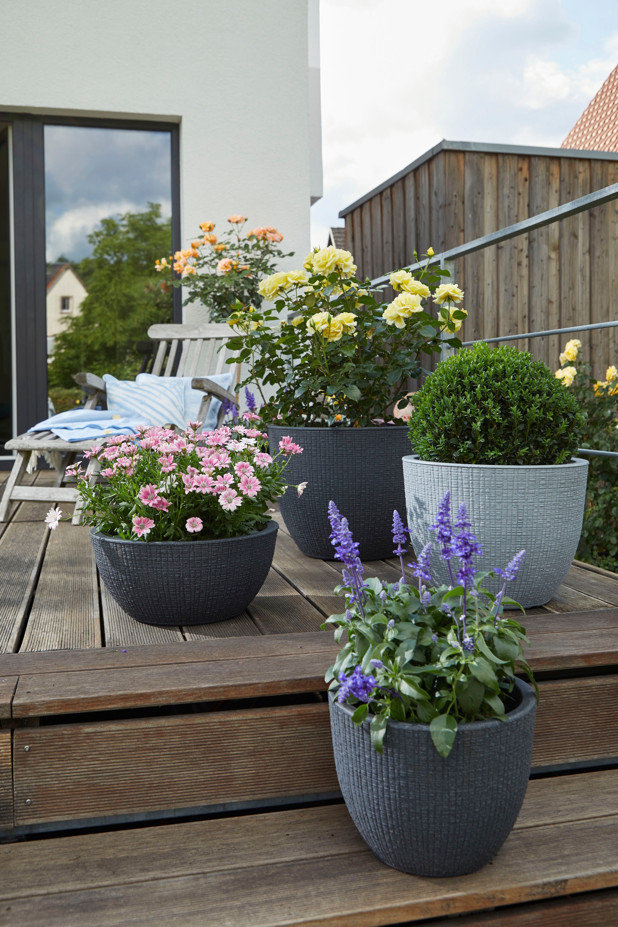Scheurich Blumentopf »40/297 BARCEO BOWL«