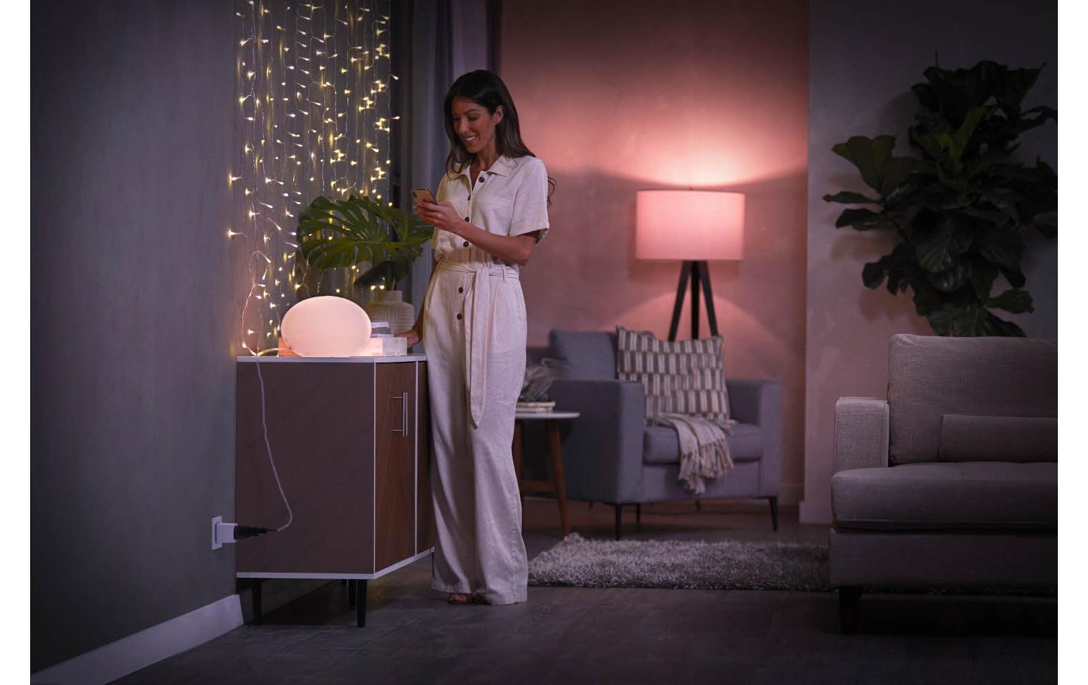 Philips Hue Funksteckdose »Smart Plug CH,«