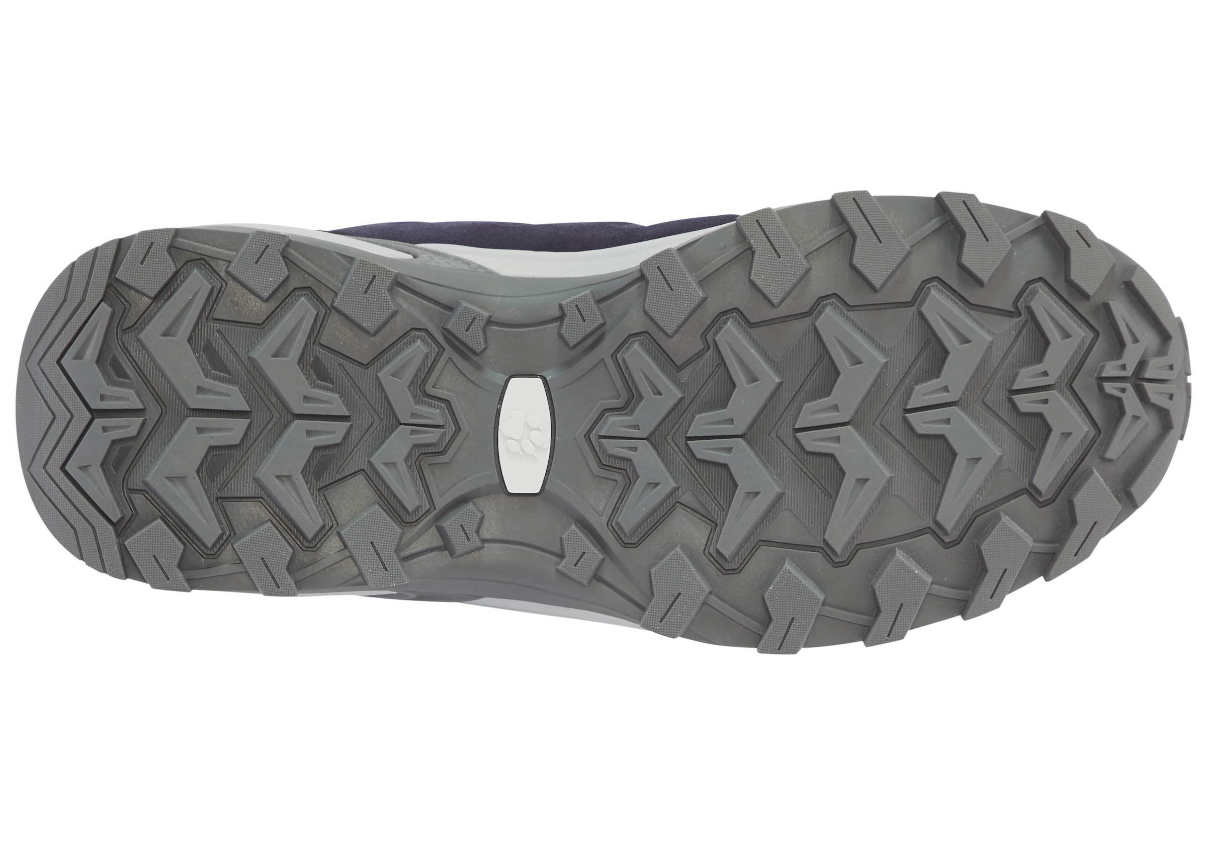 Jack Wolfskin Wanderschuh »MTN GOAT LOW W«