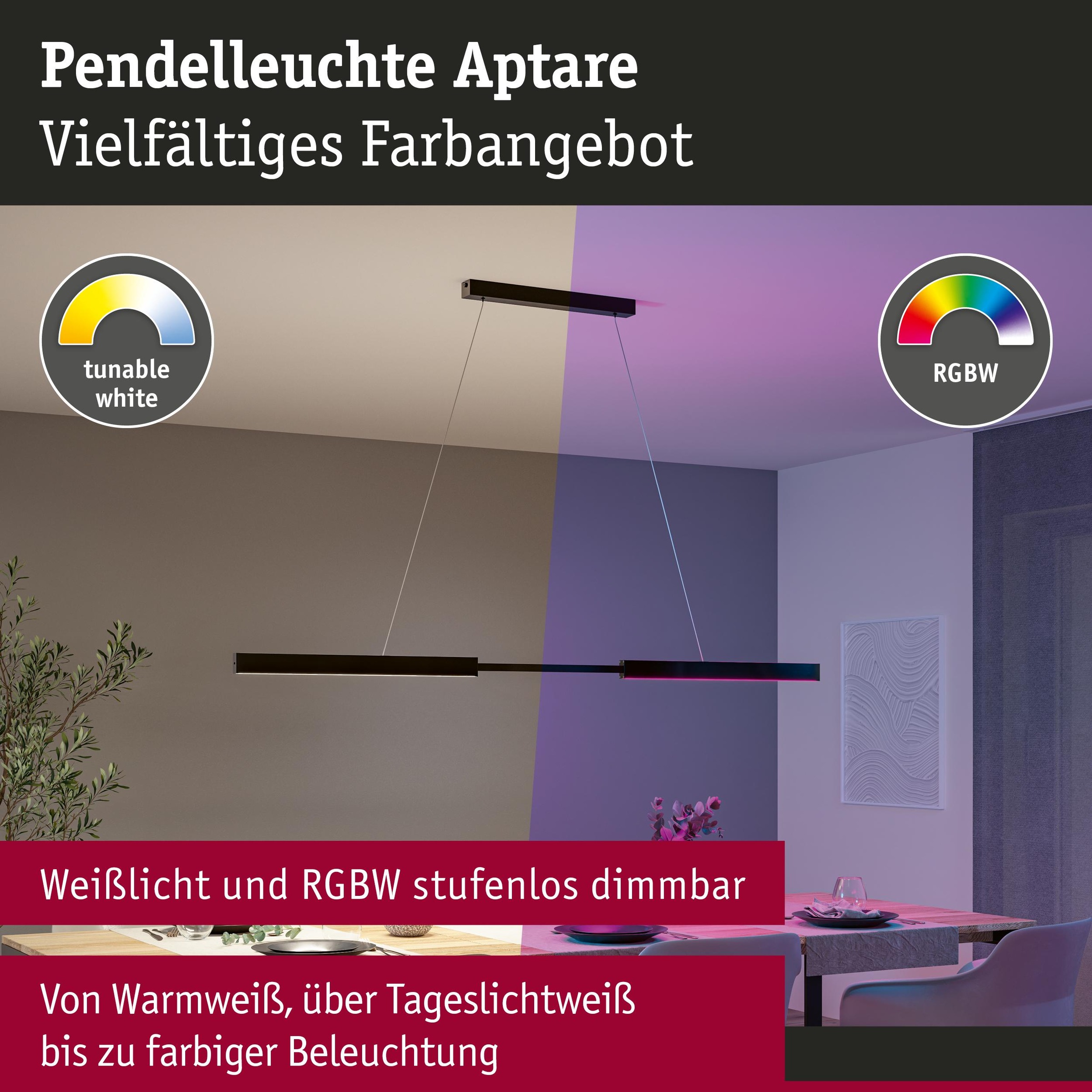 Paulmann LED Pendelleuchte »Aptare RGBW+« LED-Modul 1 Stk. Tageslichtweiß Smart Home