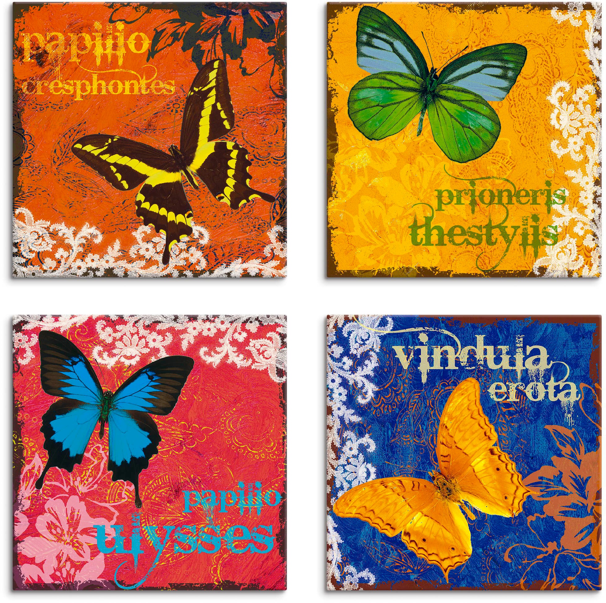 Artland Leinwandbild "Schmetterlinge Bunt", Insekten, (4 St.), 4er Set, verschiedene Größen