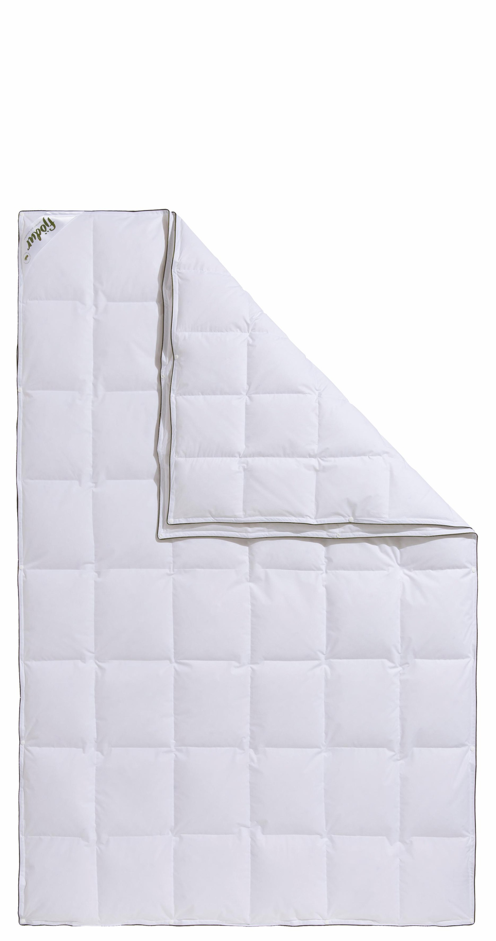 fjödur Daunenbettdecke "Fancy, für Allergiker geeignet (Hausstauballergiker günstig online kaufen