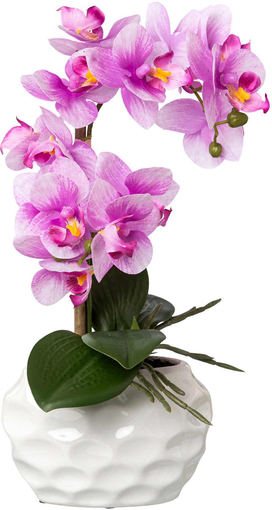 Creativ green Kunstorchidee "Deko-Orchidee Phalaenopsis im Keramiktopf" günstig online kaufen