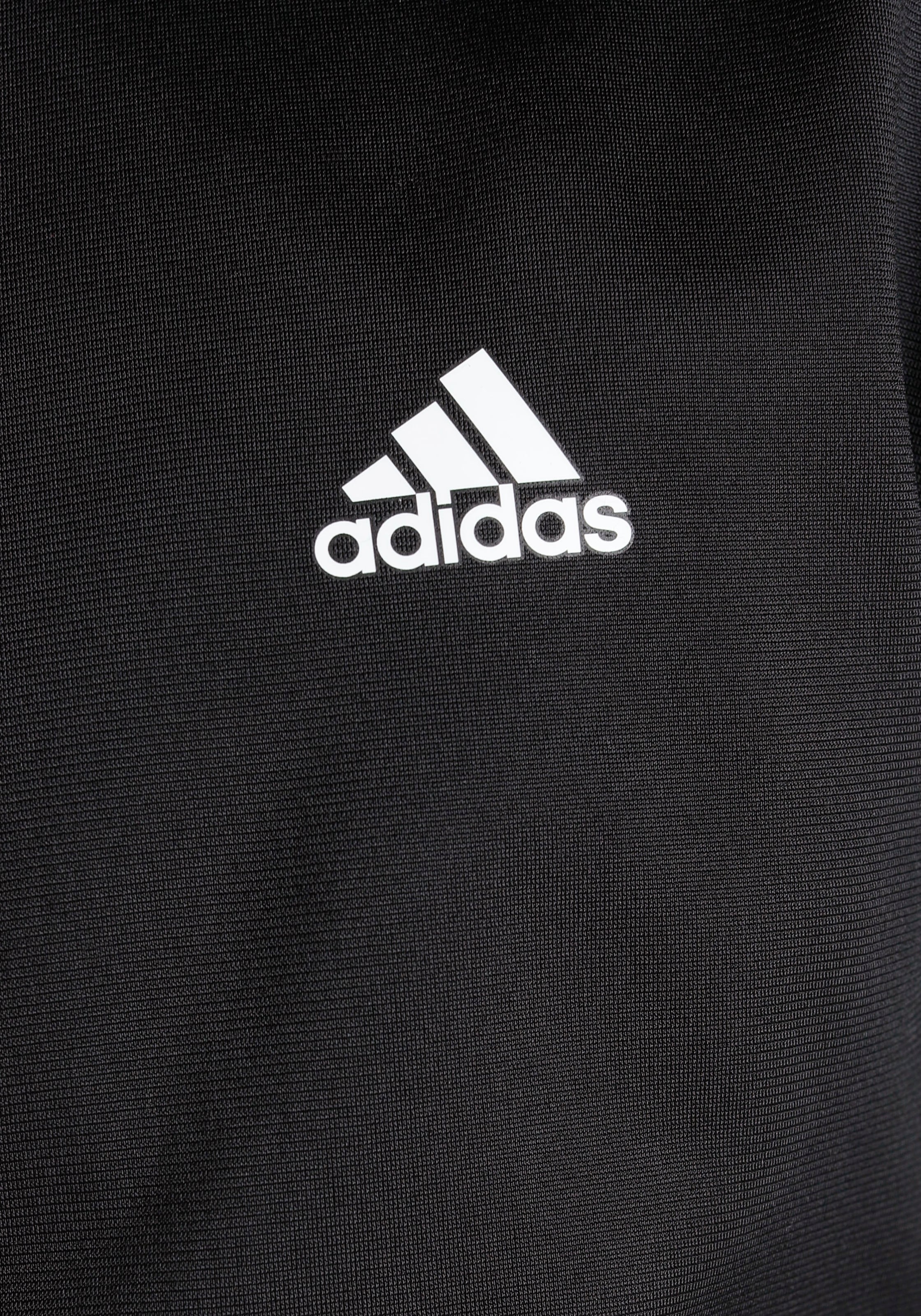 adidas Sportswear Trainingsanzug »ESSENTIALS BIG LOGO«, (2 tlg.)