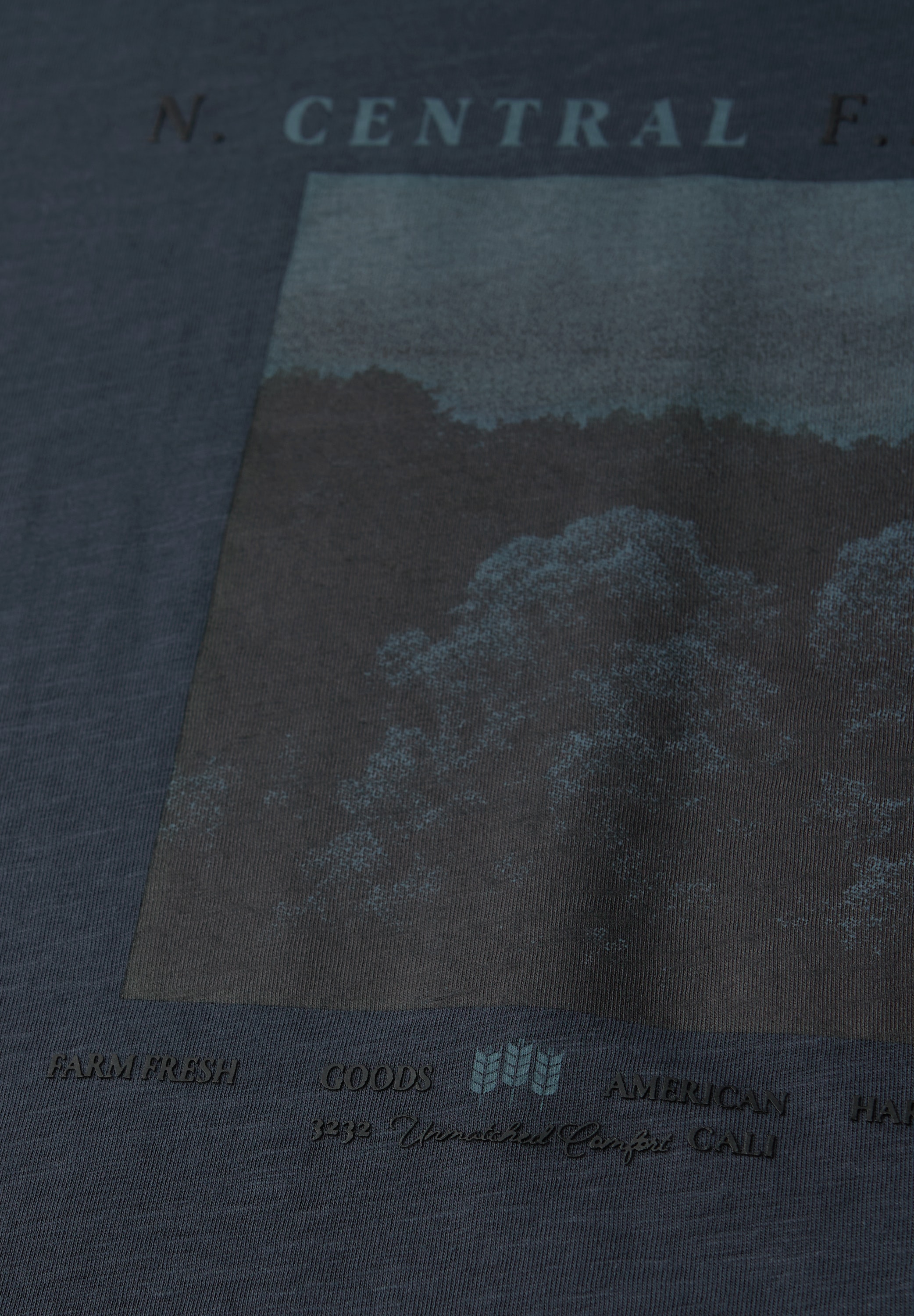 STREET ONE MEN T-Shirt aus reiner Baumwolle