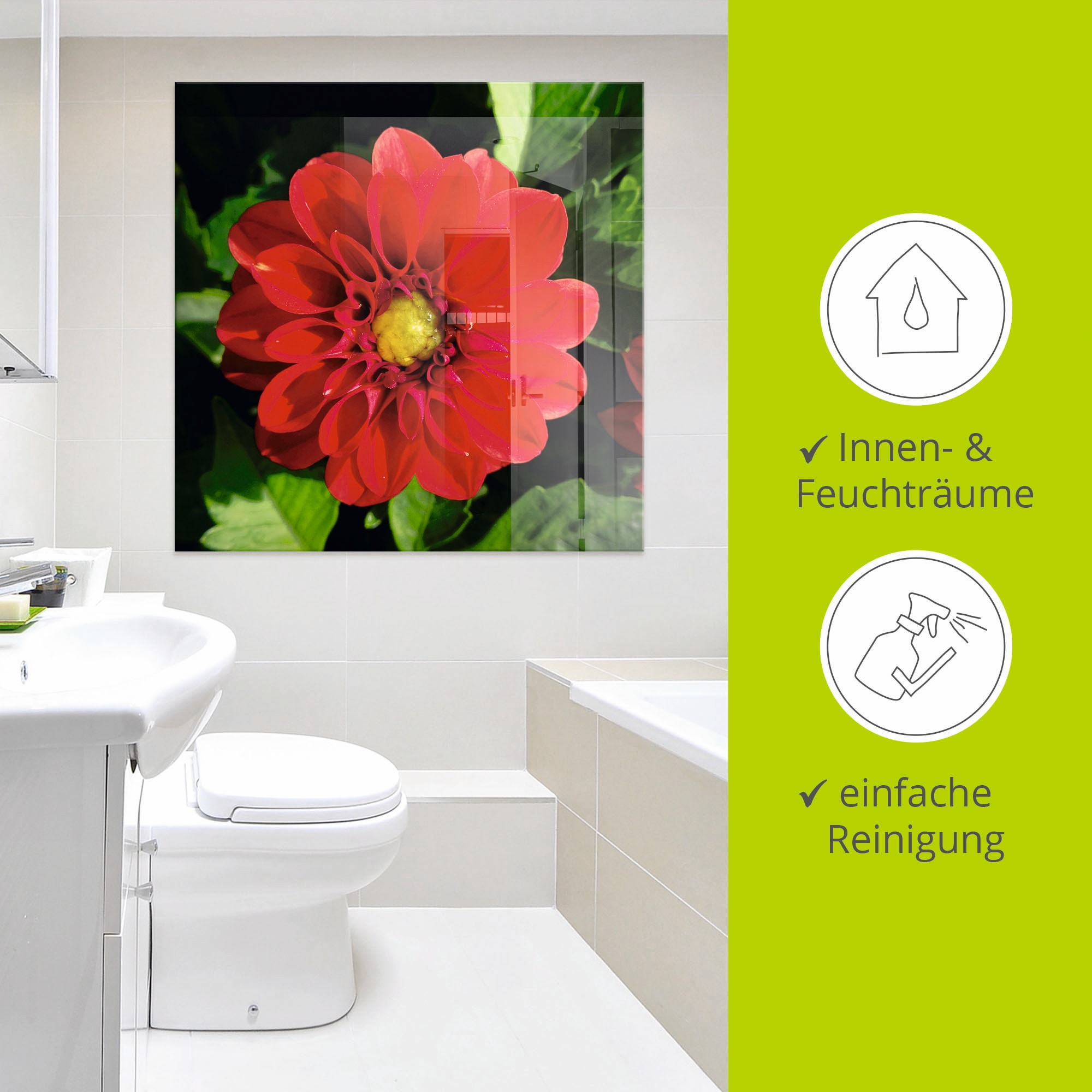 Artland Glasbild »Rote Dahlienblüte«, Blumen, (1 St.), in verschiedenen Größen