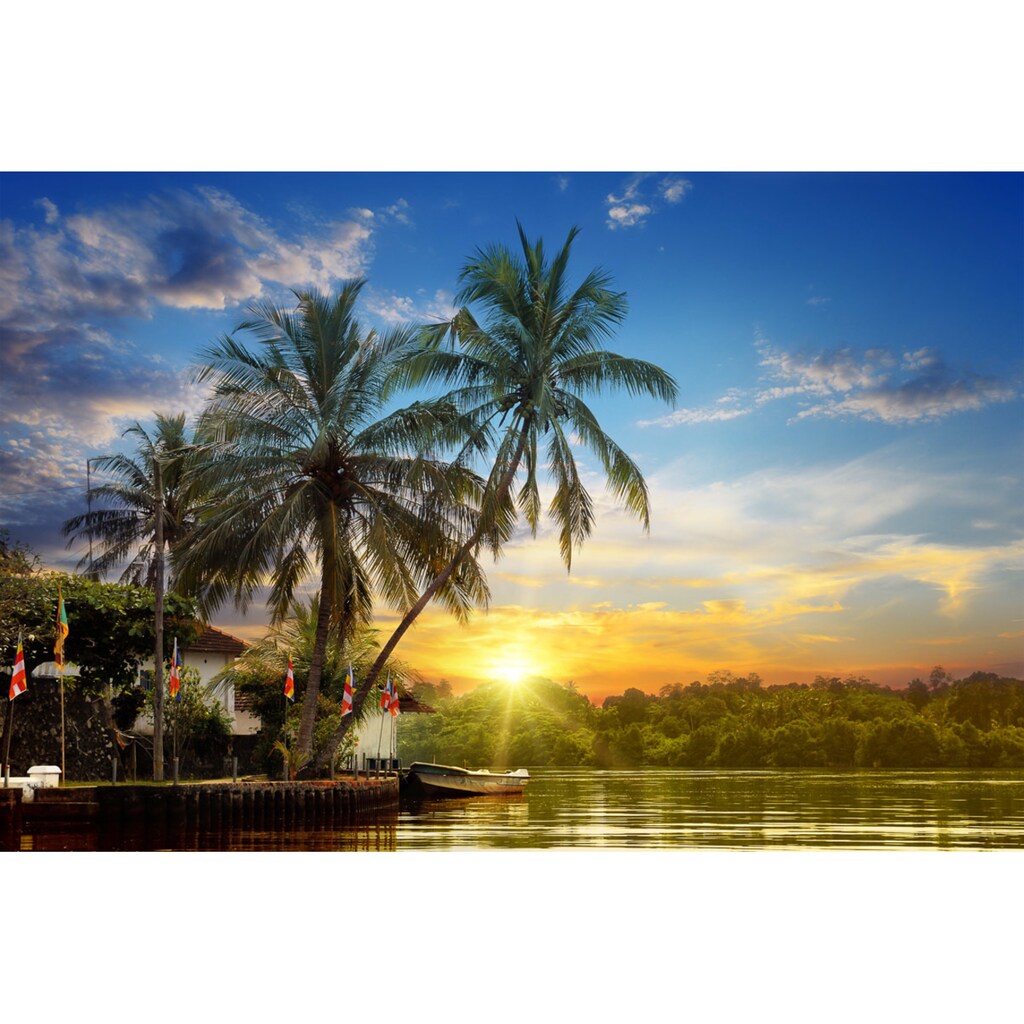 Papermoon Fototapete »Tropischer Palmen-Sonnenaufgang«