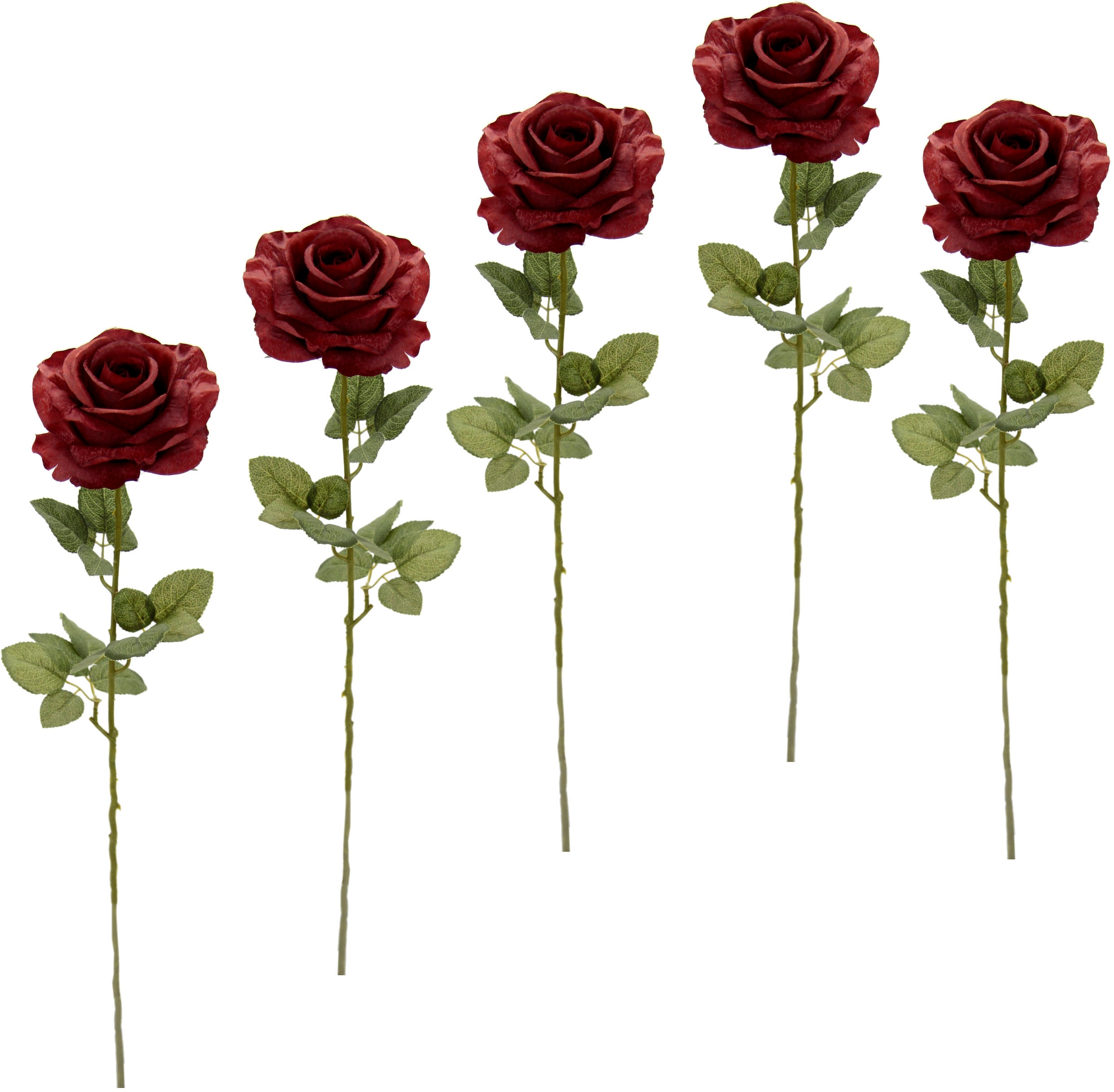I.GE.A. Kunstblume »Rose«, 5er Set BAUR bestellen 