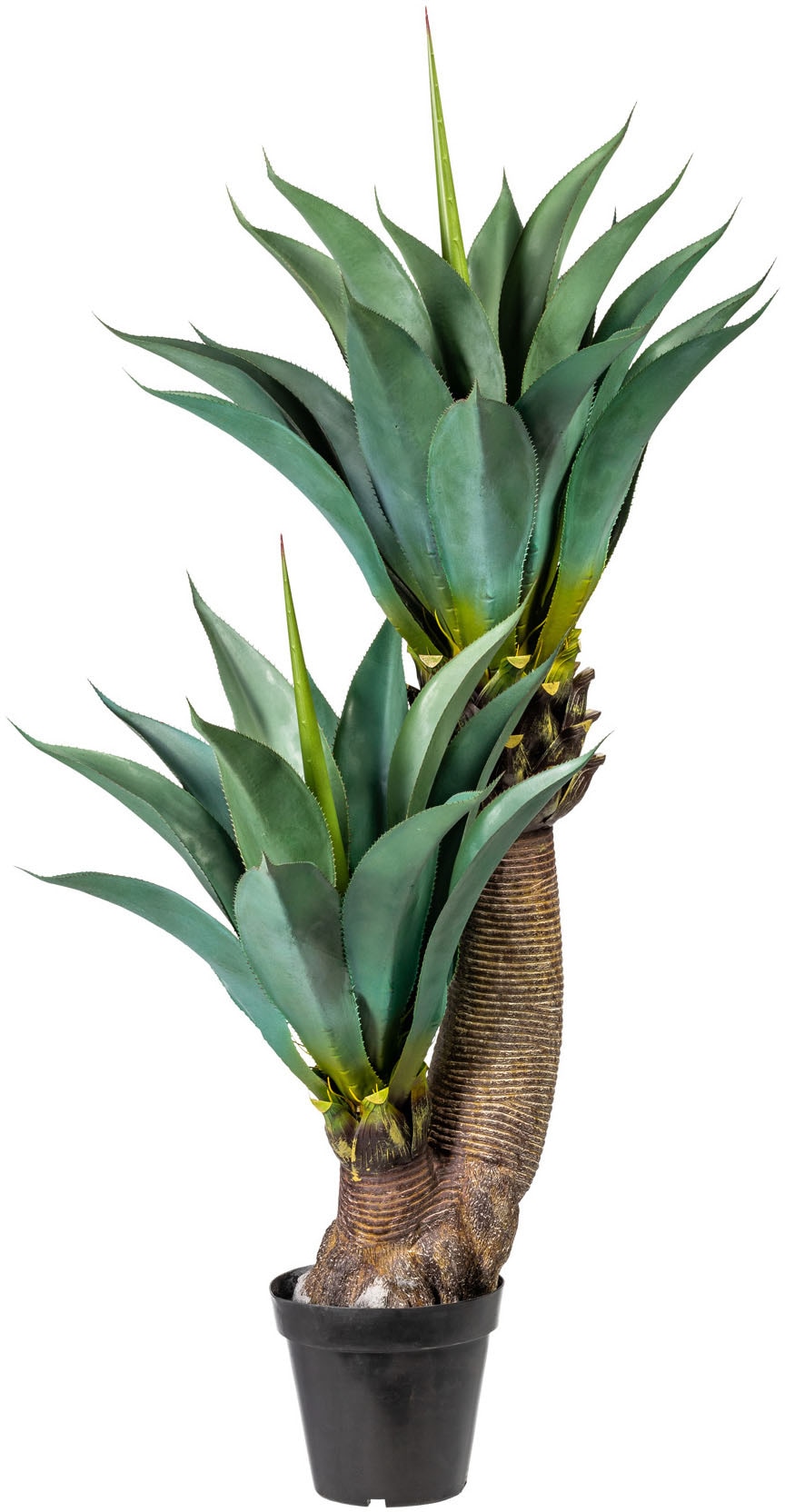 Creativ green Künstliche Zimmerpflanze »Agave« bestellen | BAUR
