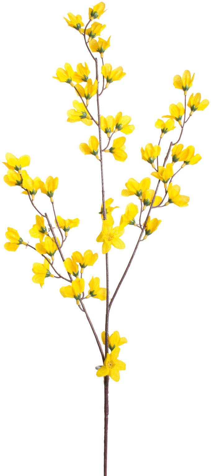 Botanic-Haus Kunstblume "Forsythienzweig mit 3 Stielen" günstig online kaufen