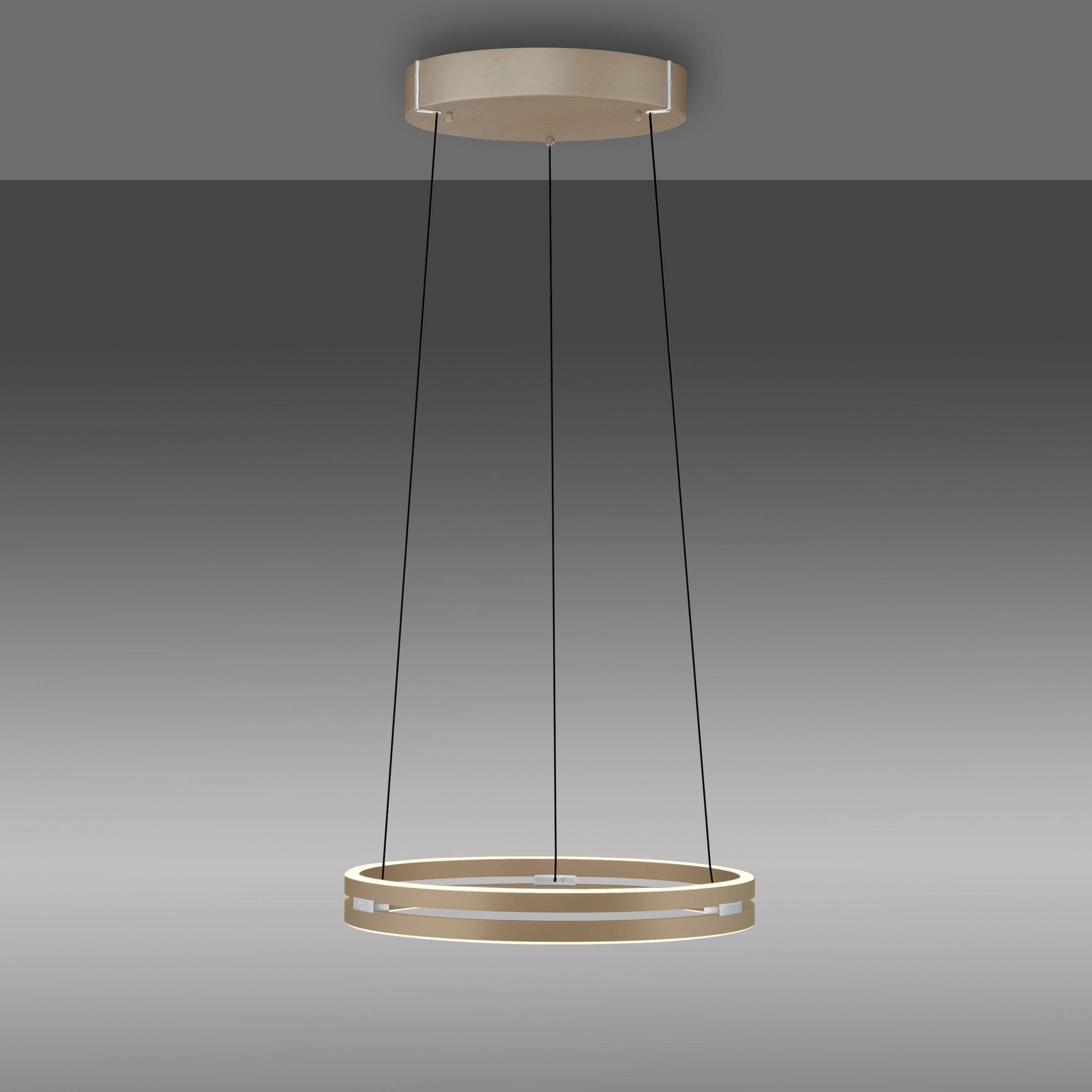 Neuhaus PURE LED Pendelleuchte »PURE E-Loop« LED-Board 1 Stk. warmweiß - kaltweiß e-LIFT® Funktion, CCT, dimmbar über Fernbedienung