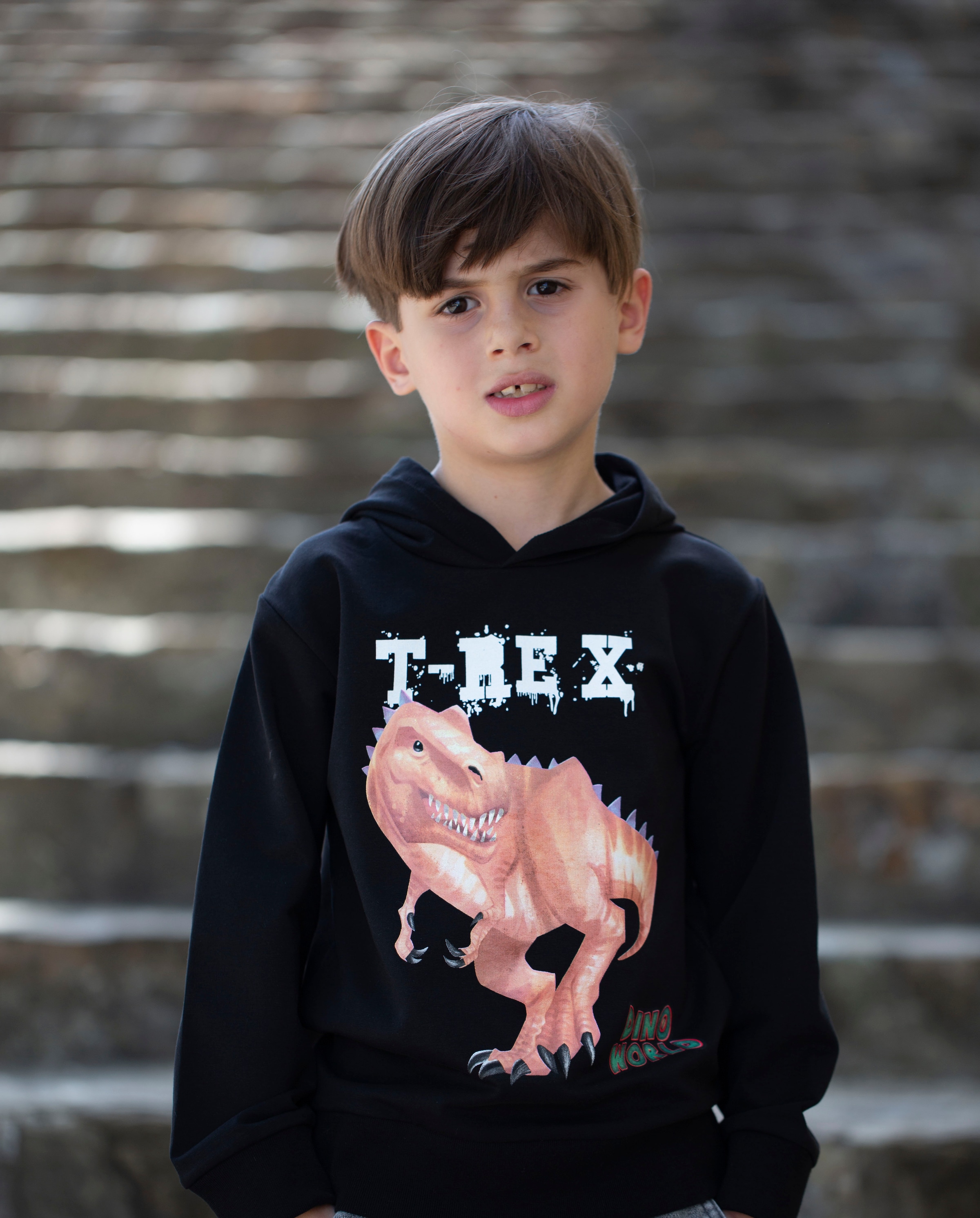 World BAUR | ▷ Sweatshirt für Dino