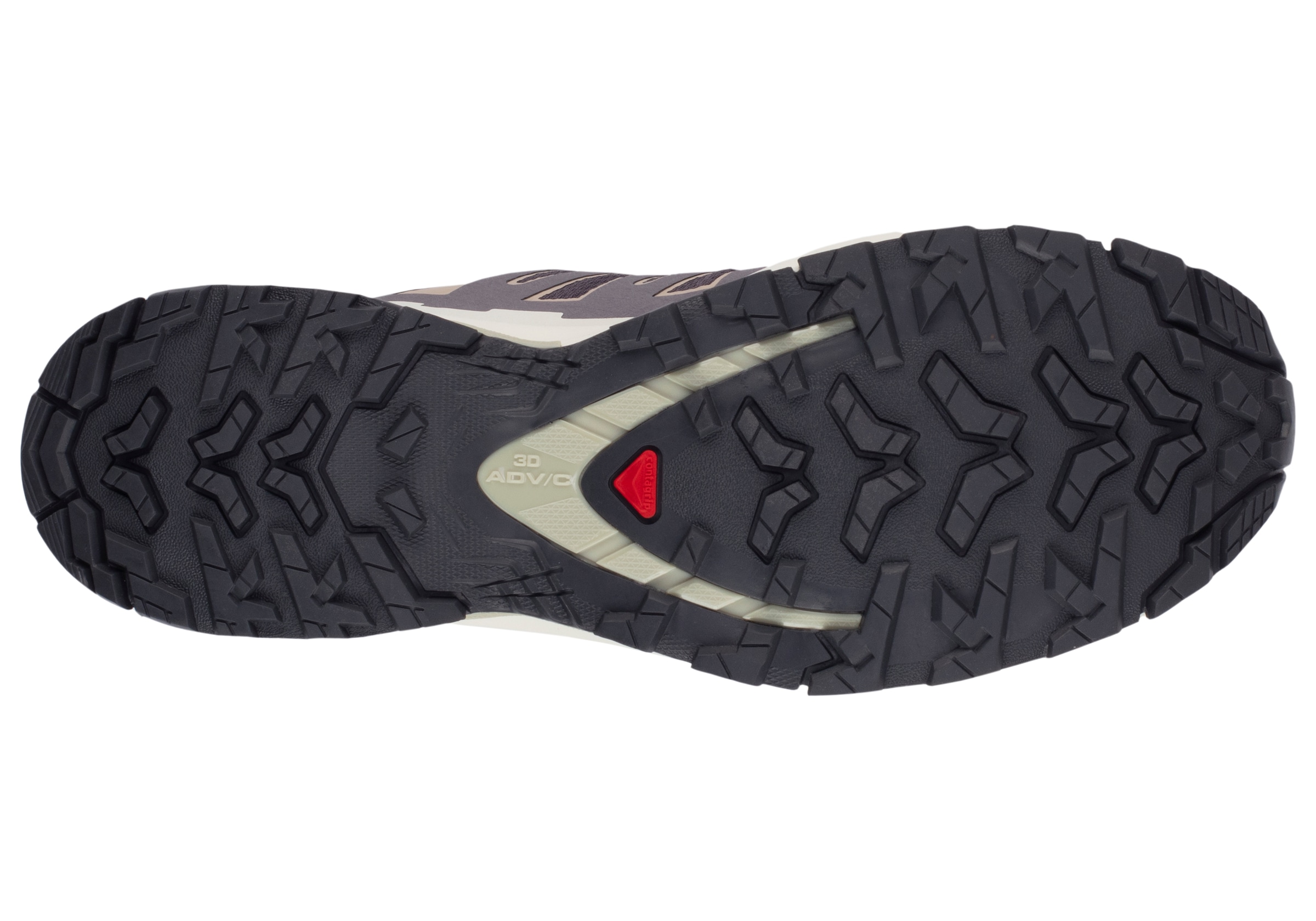 Salomon Trailrunningschuh »XA PRO 3D V9 GTX W«, wasserdicht