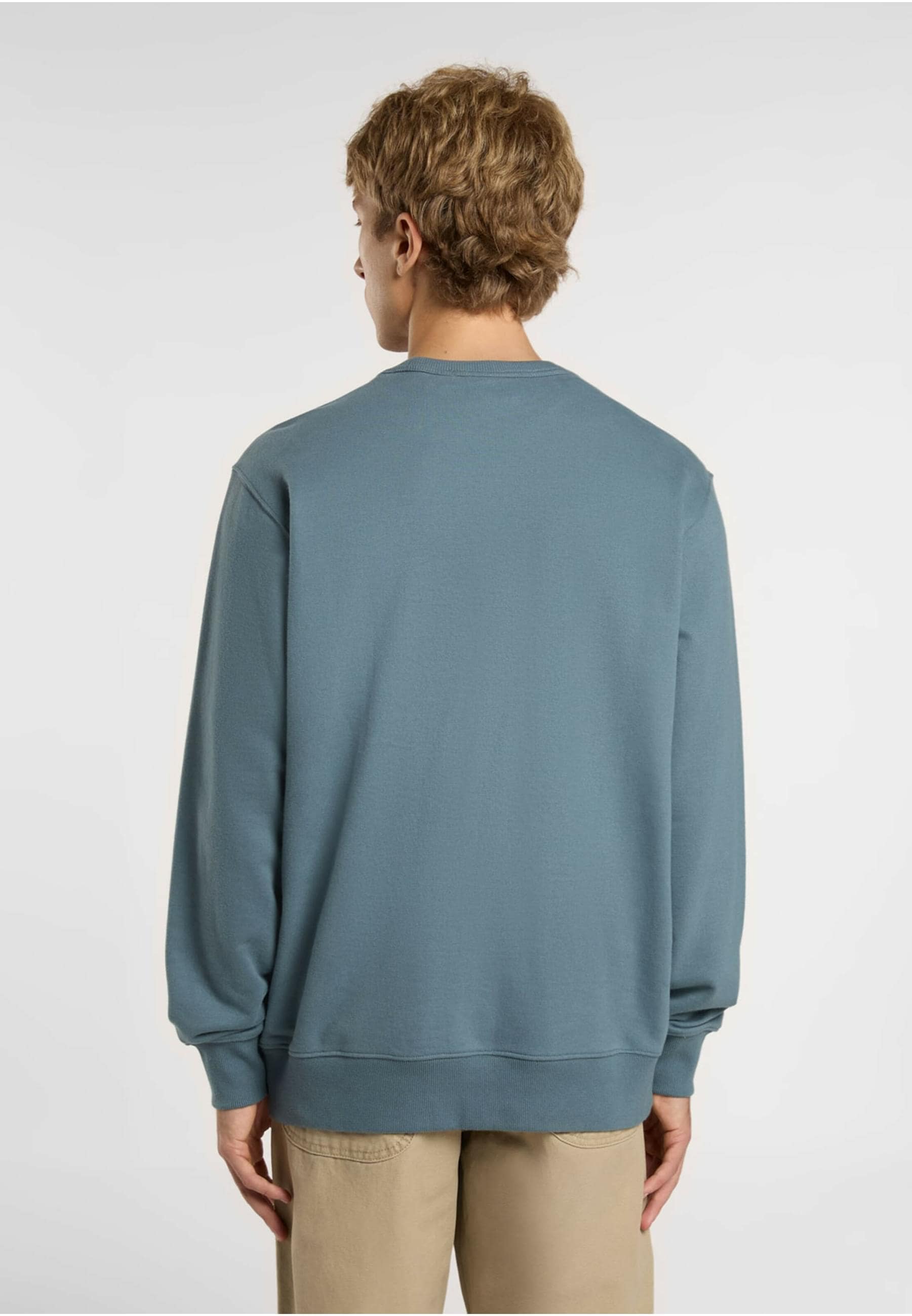 Dickies Longsleeve »Dickies Workwear Dickies Aitkin Sweatshirt«, (1 tlg.)