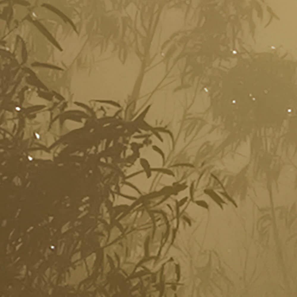 Komar Fototapete »Vlies Fototapete - Foggy Sunshine - Größe 400 x 250 cm«, bedruckt
