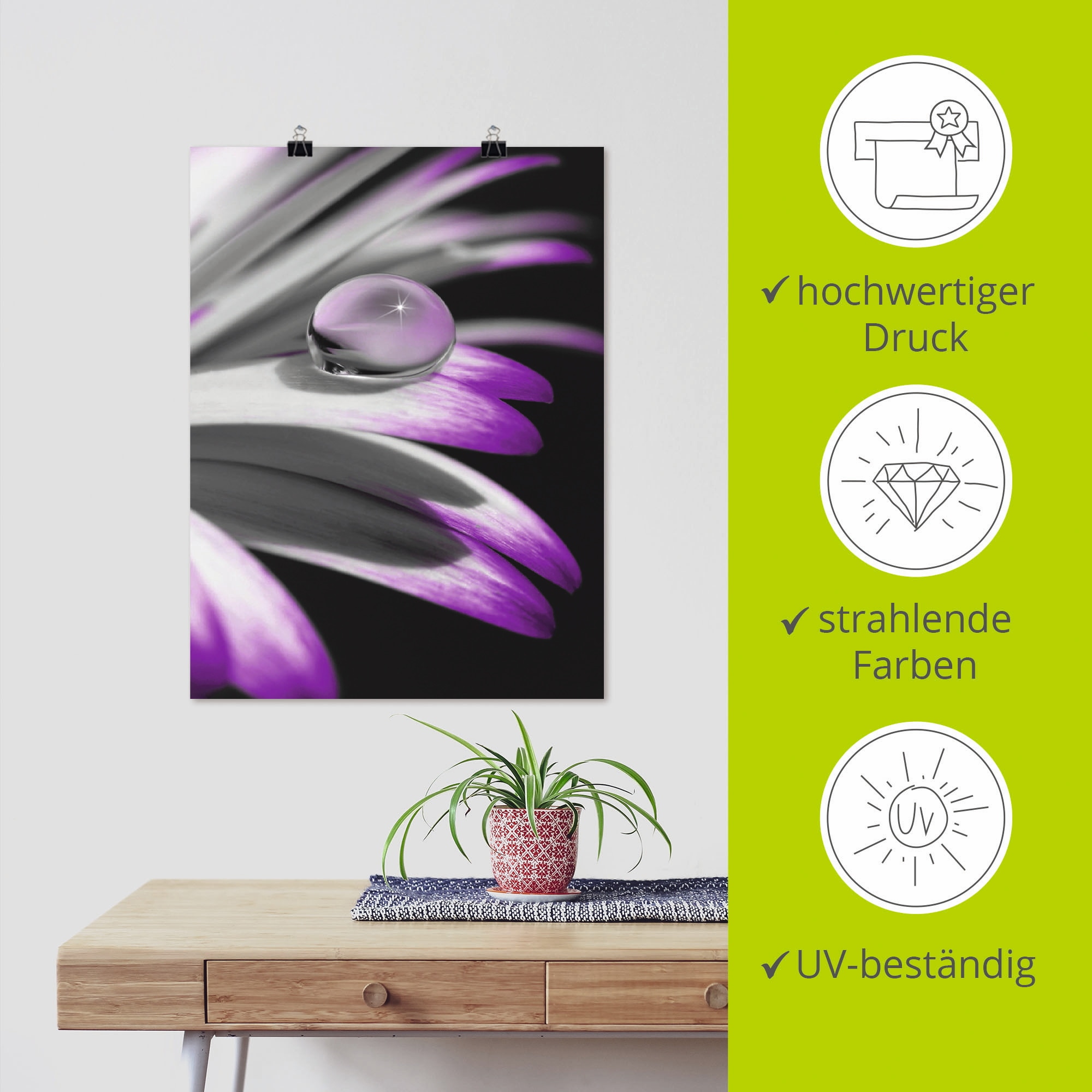 Artland Poster »Tropfen« Blumen 1 Stk. tlg. als Leinwandbild, Poster, Wandaufkleber in verschied. Größen