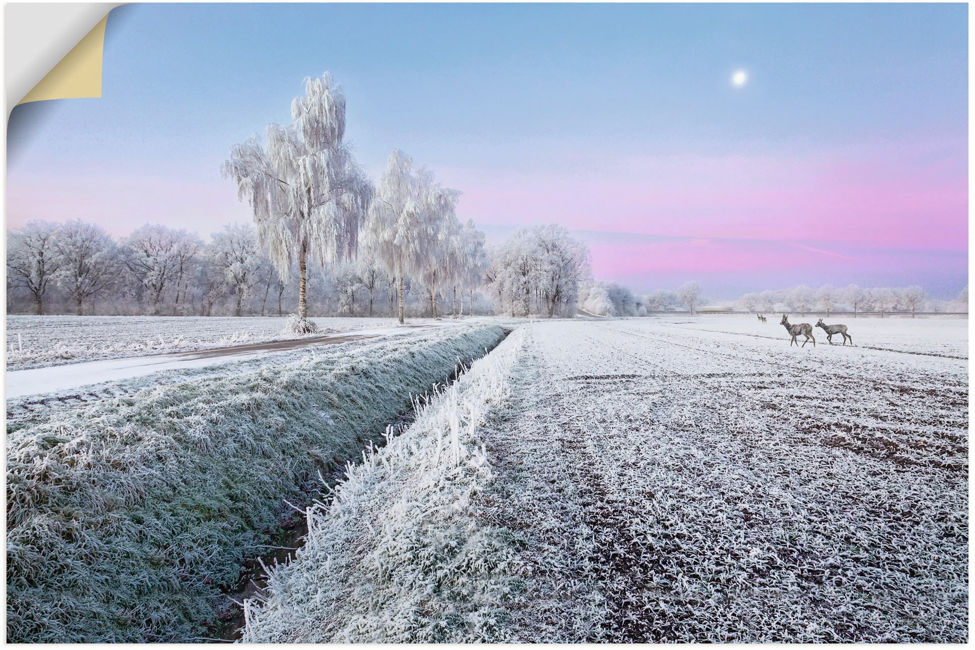 Artland Wandfolie "Ein kurzweiliges Wintermärchen", Vier Jahreszeiten Bilder, (1 St.), selbstklebend