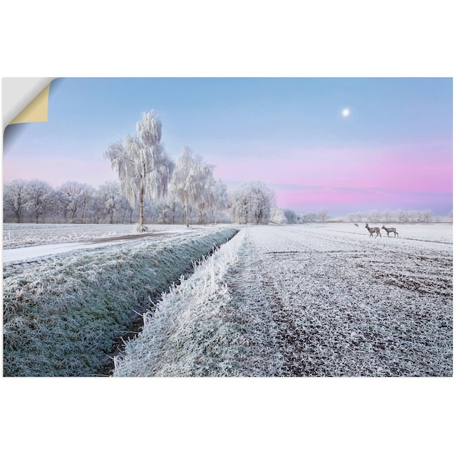 Artland Wandbild »Ein kurzweiliges Wintermärchen«, Vier Jahreszeiten Bilder,  (1 St.), als Alubild, Leinwandbild, Wandaufkleber oder Poster in versch.  Größen bestellen | BAUR