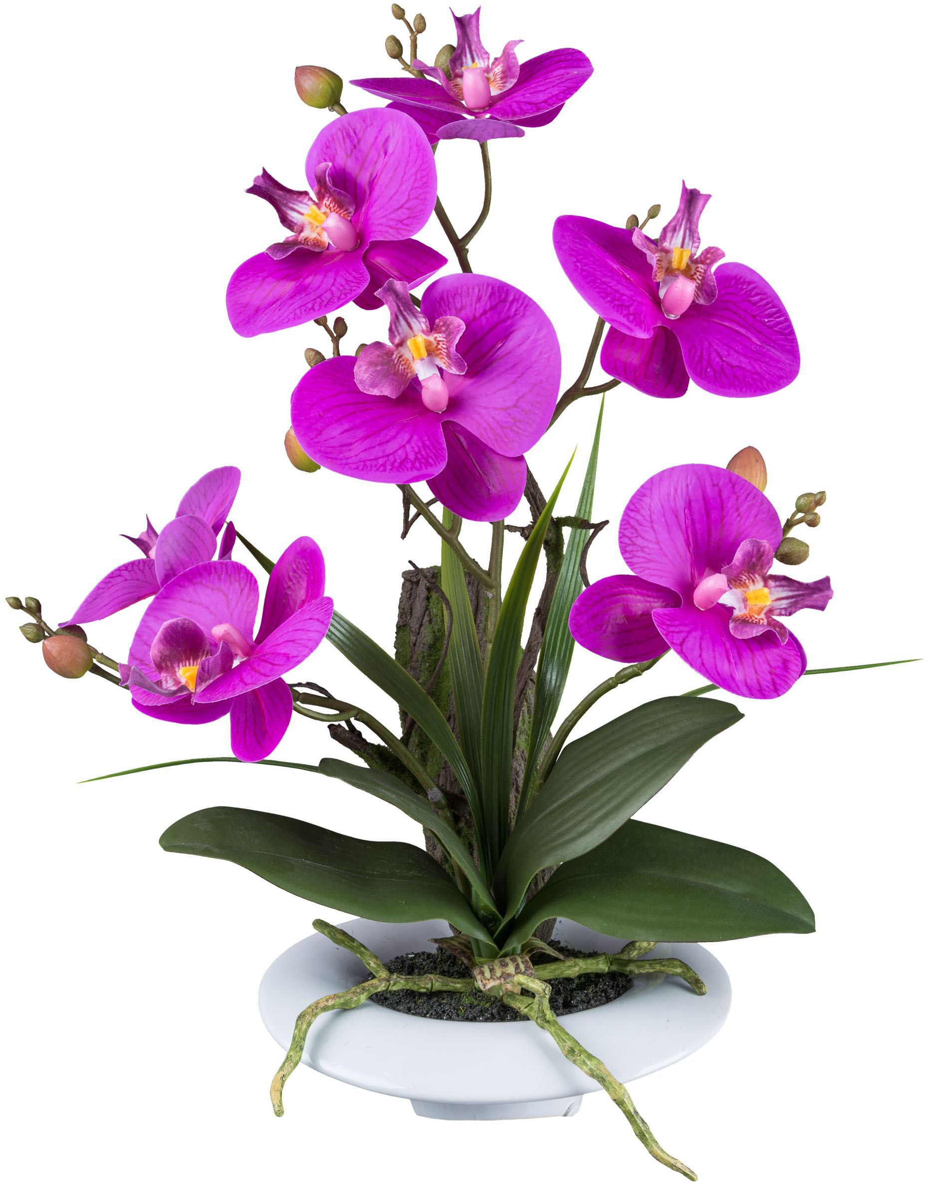 Creativ green Kunstorchidee "Orchidee Phalaenopsis", in außergewöhnlicher K günstig online kaufen