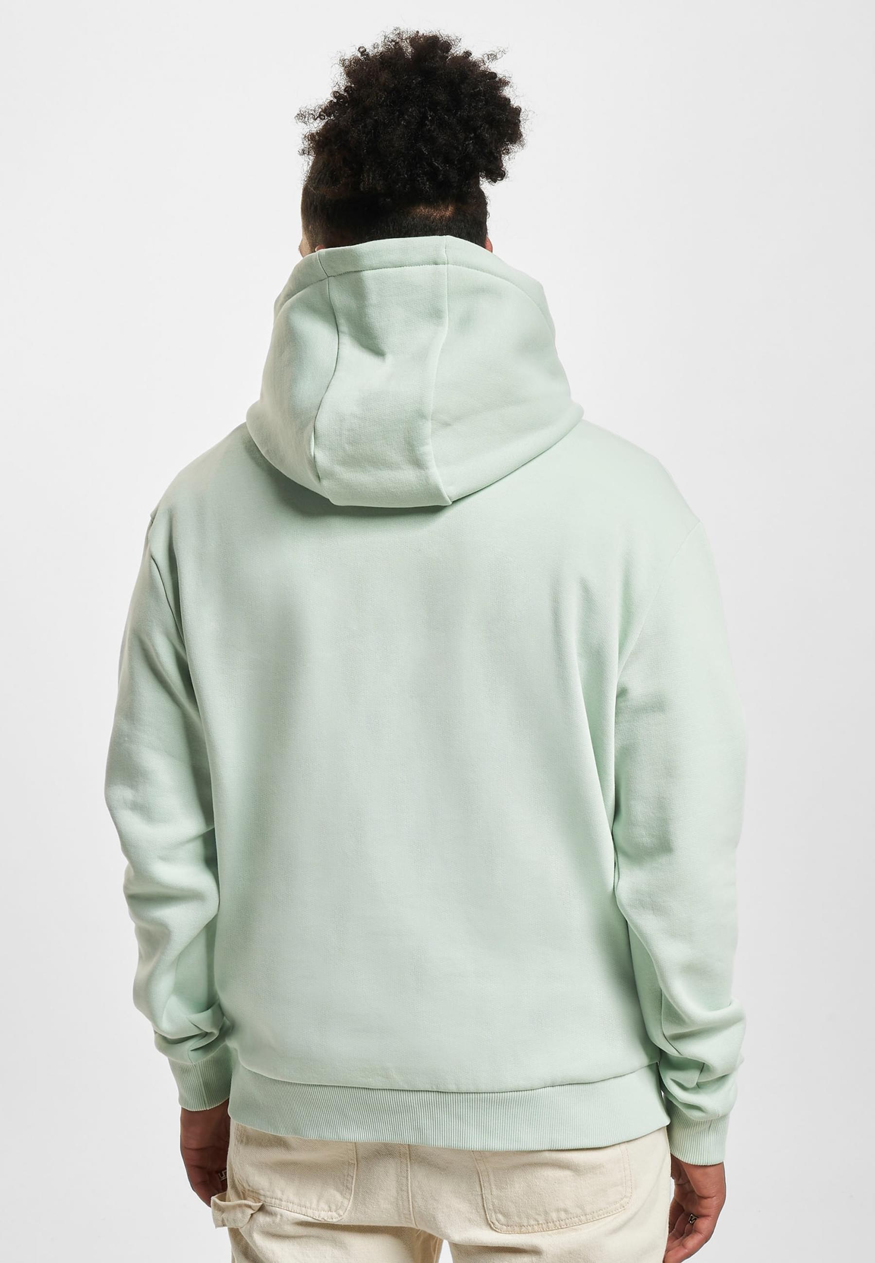 Karl Kani Kapuzensweatshirt »Karl Kani Herren«, (1 tlg.)