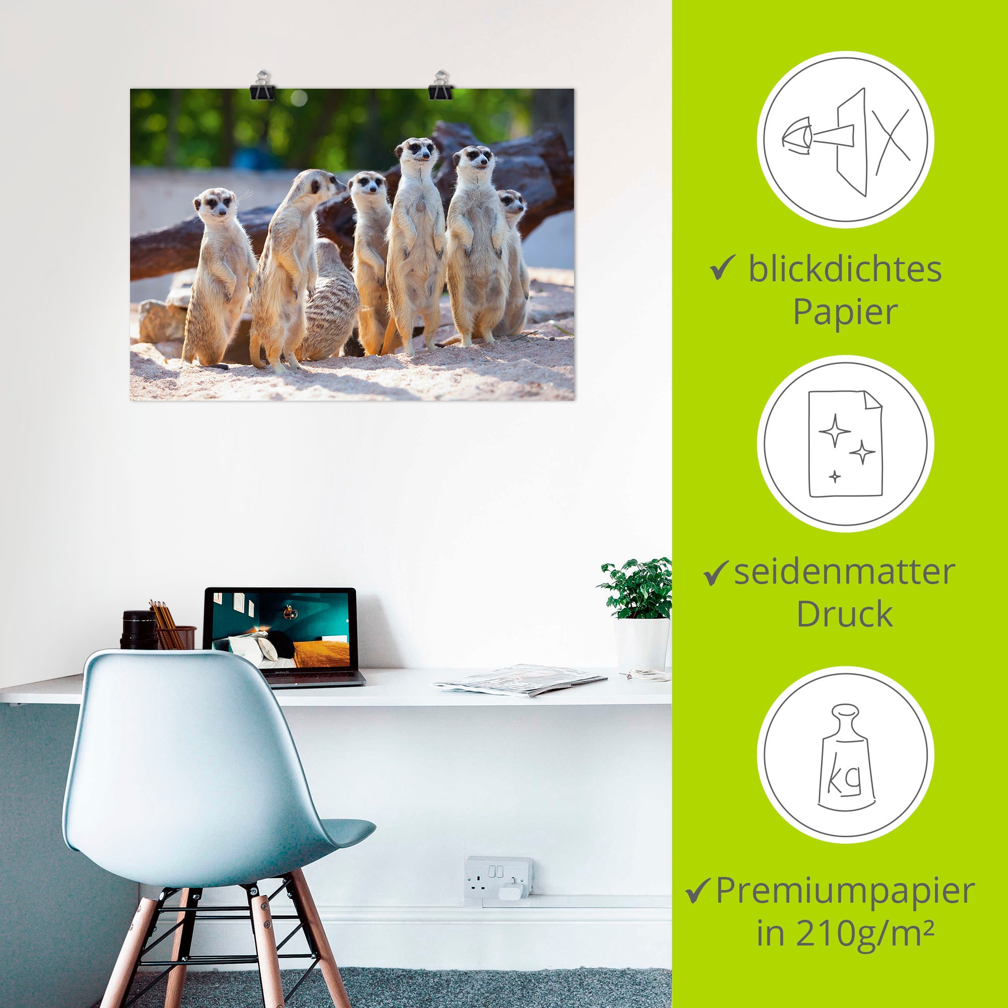 Artland Wandbild »Erdmännchenfamilie«, Wildtiere, (1 St.), als Poster, Wandaufkleber in verschied. Größen