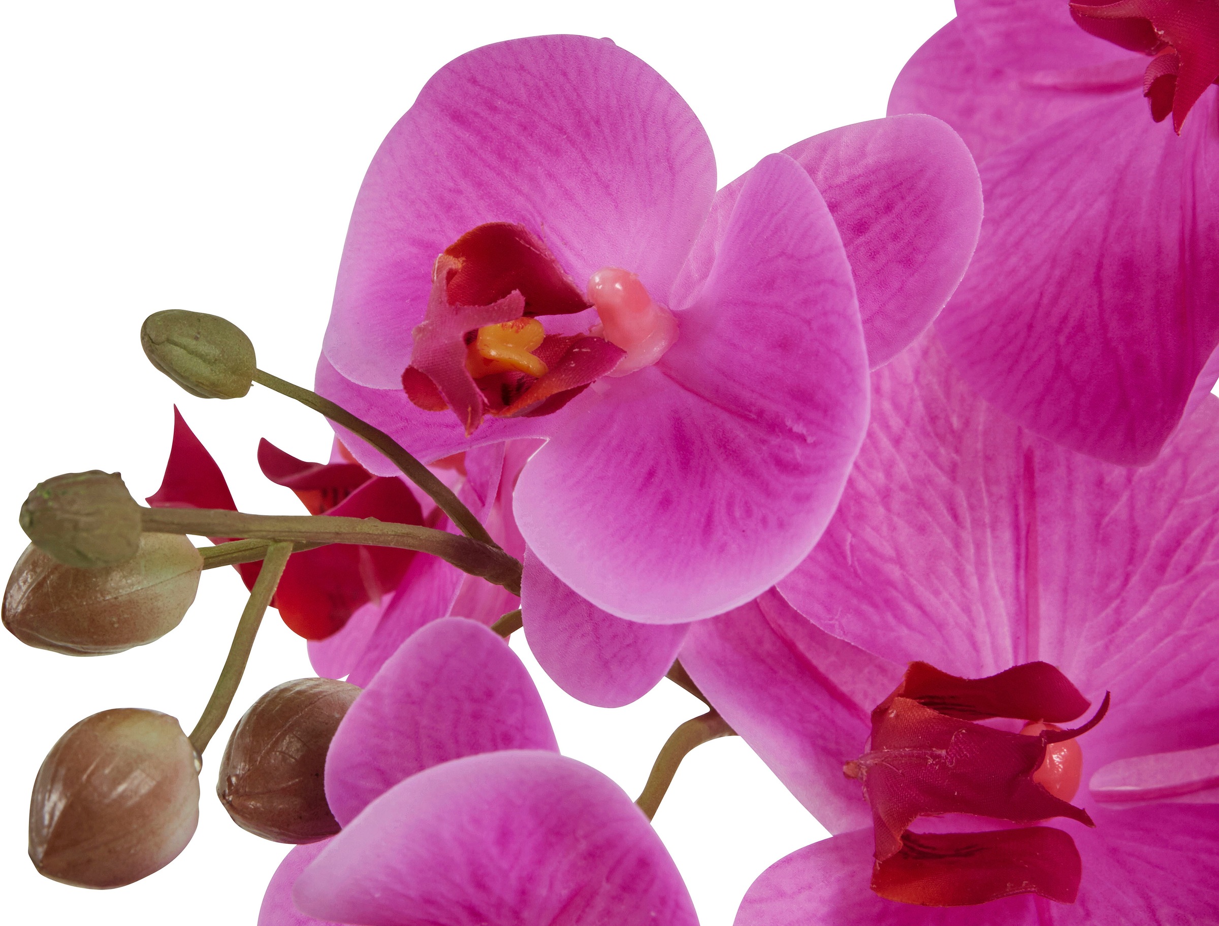 Leonique Kunstpflanze »Orchidee«, Kunstorchidee, im Topf, Bestseller, über 2500 4,5-Sterne-Bewertungen