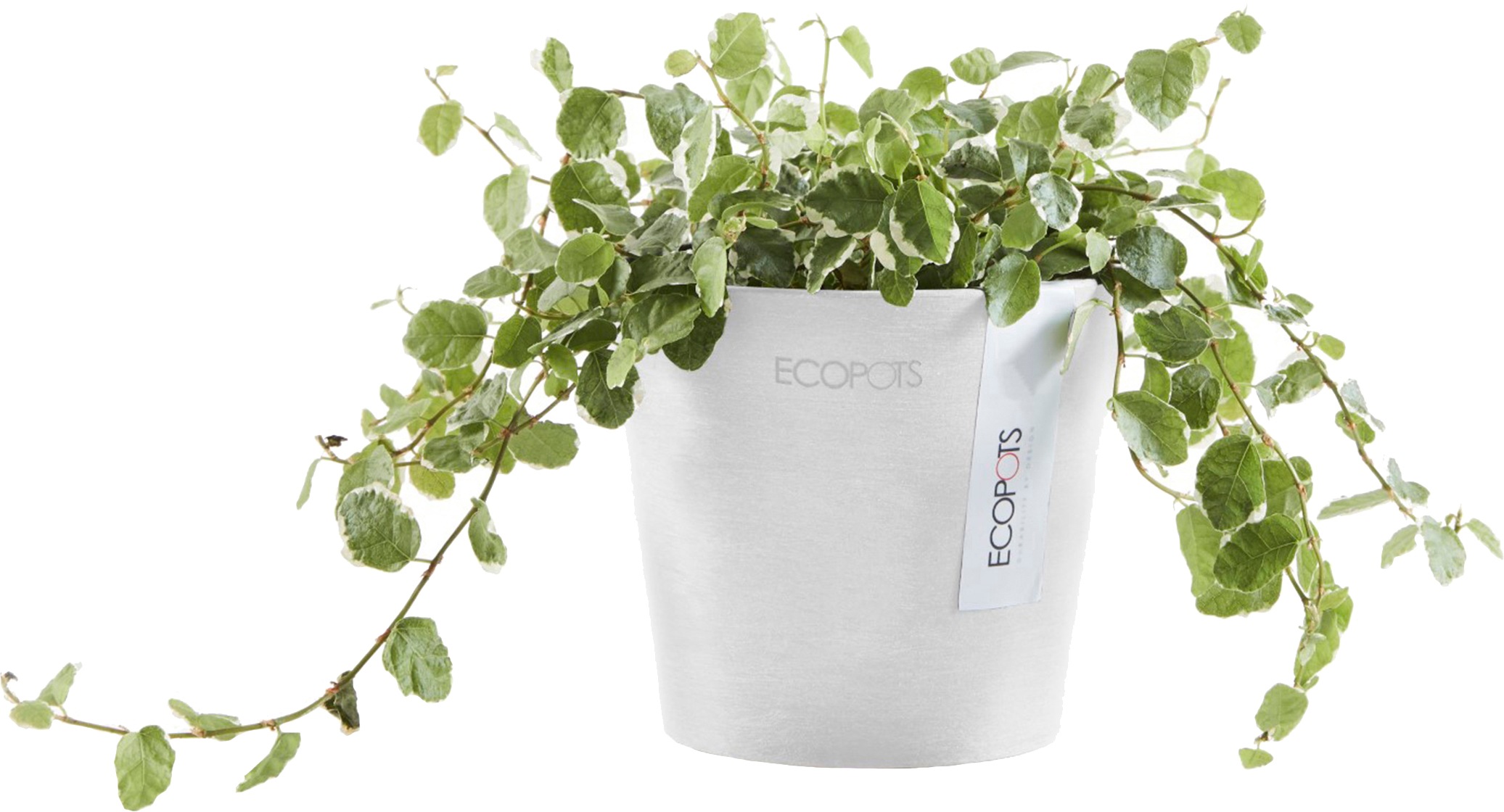 ECOPOTS Blumentopf »Amsterdam Mini 10,5 Weiß«, für den Innenbereich