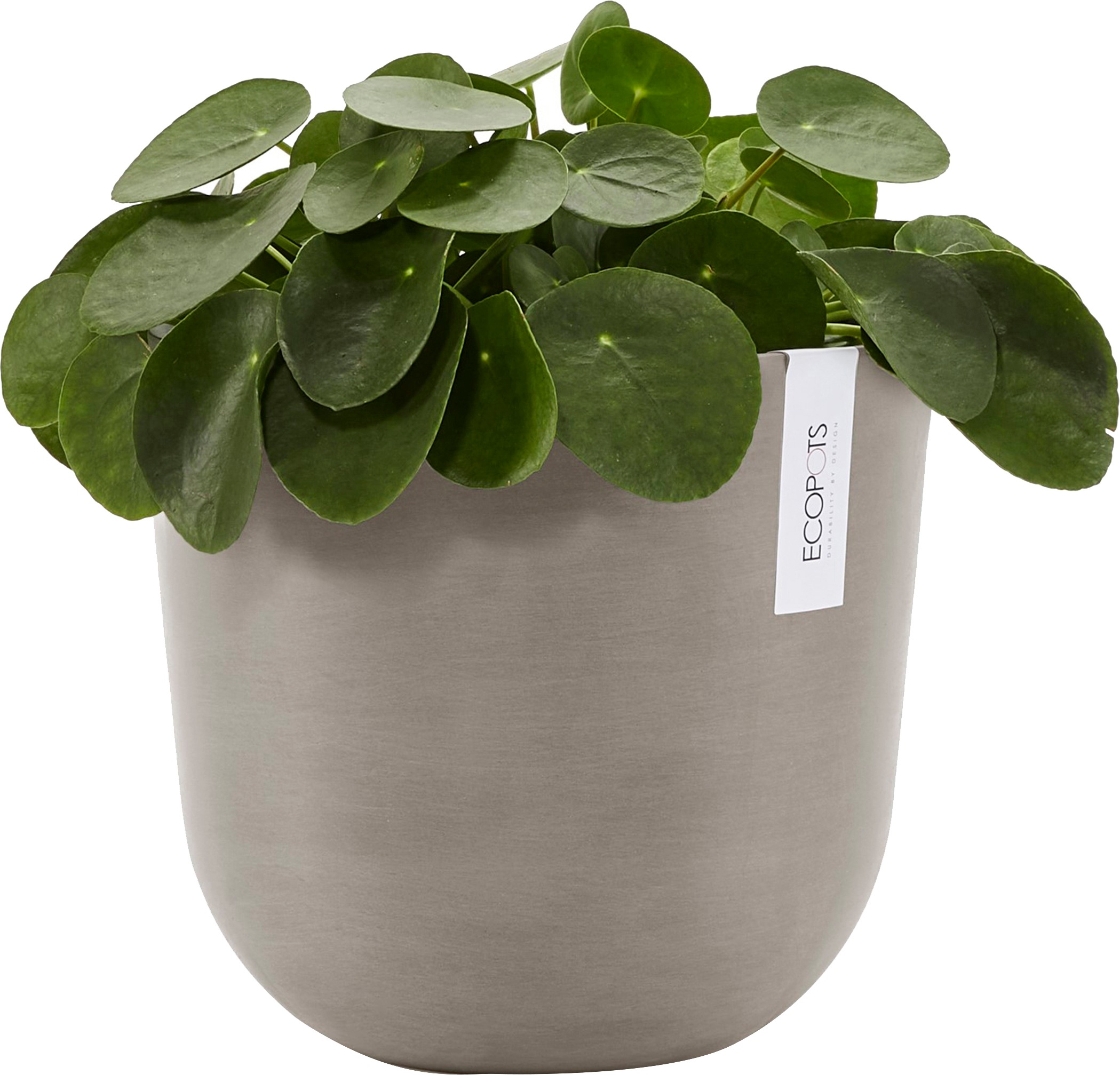 ECOPOTS Blumentopf »Oslo 25 Taupe«, für innen und außen: frostsicher, bruchsicher und lichtbeständig