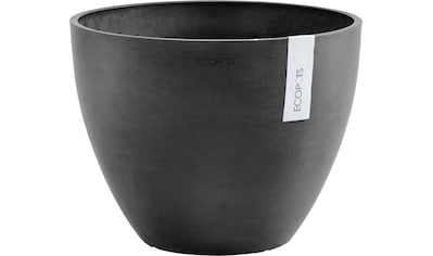 Ecopots Pflanzkübel & Pflanzschalen online kaufen | BAUR