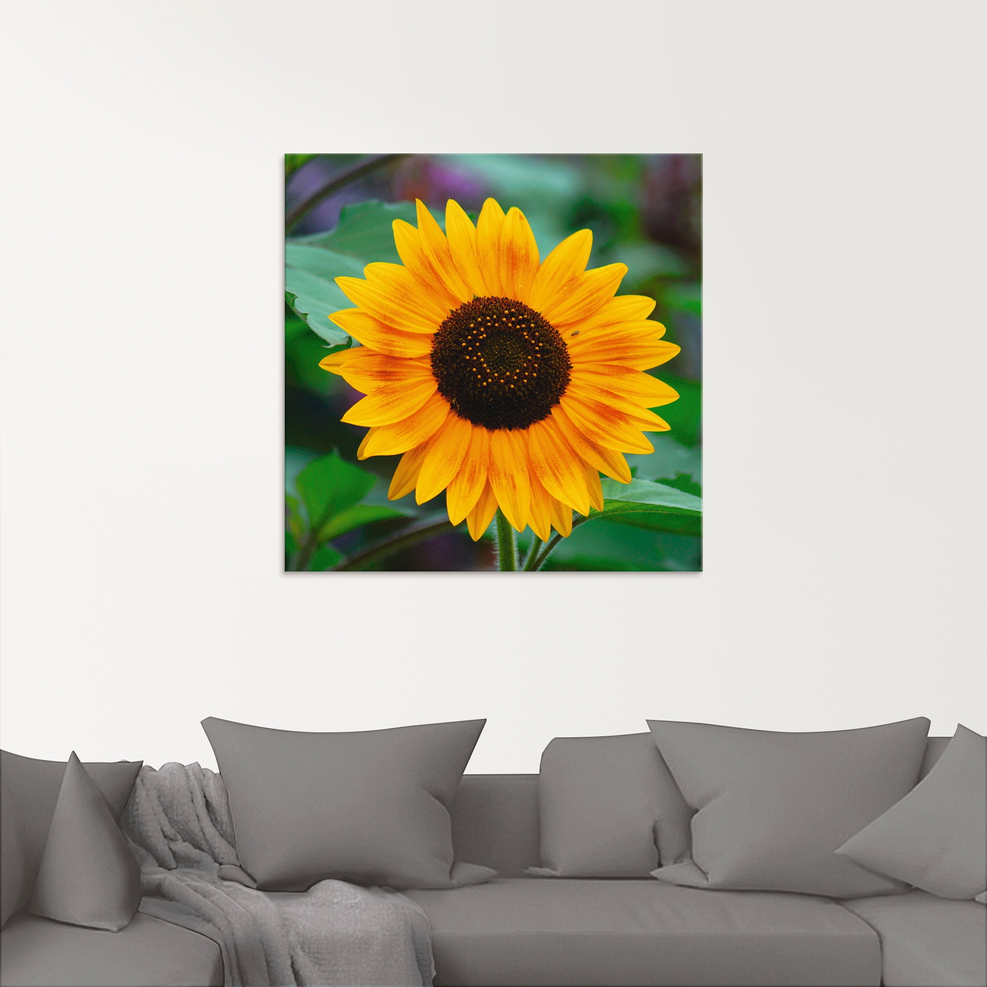Thumbnail - Artland Glasbild "Sonnenblume", Blumen, (1 St.), in verschiedenen Größen