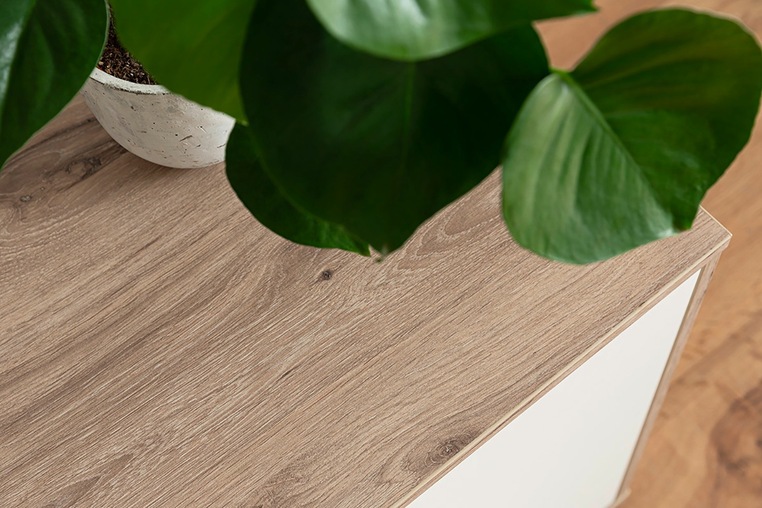 MCA furniture Lowboard »SANTERNO«, mit 1 Tür, 2 Schubkästen, offene Fächer, Fernseher bis 80 Zoll