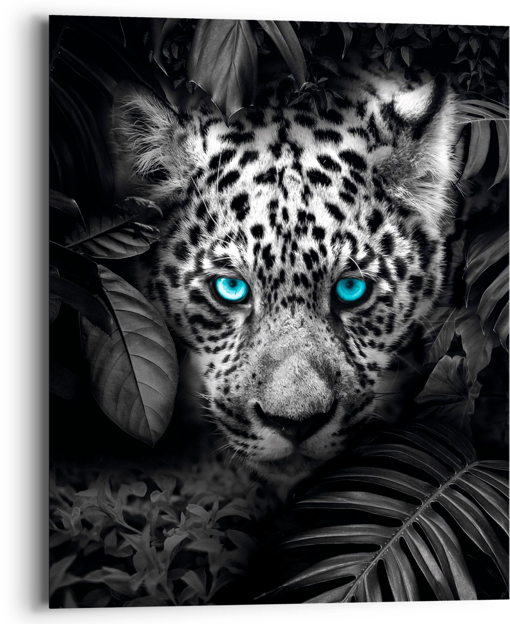 Reinders! Holzbild »Blue Eyed Leopard«, (1 St.)
