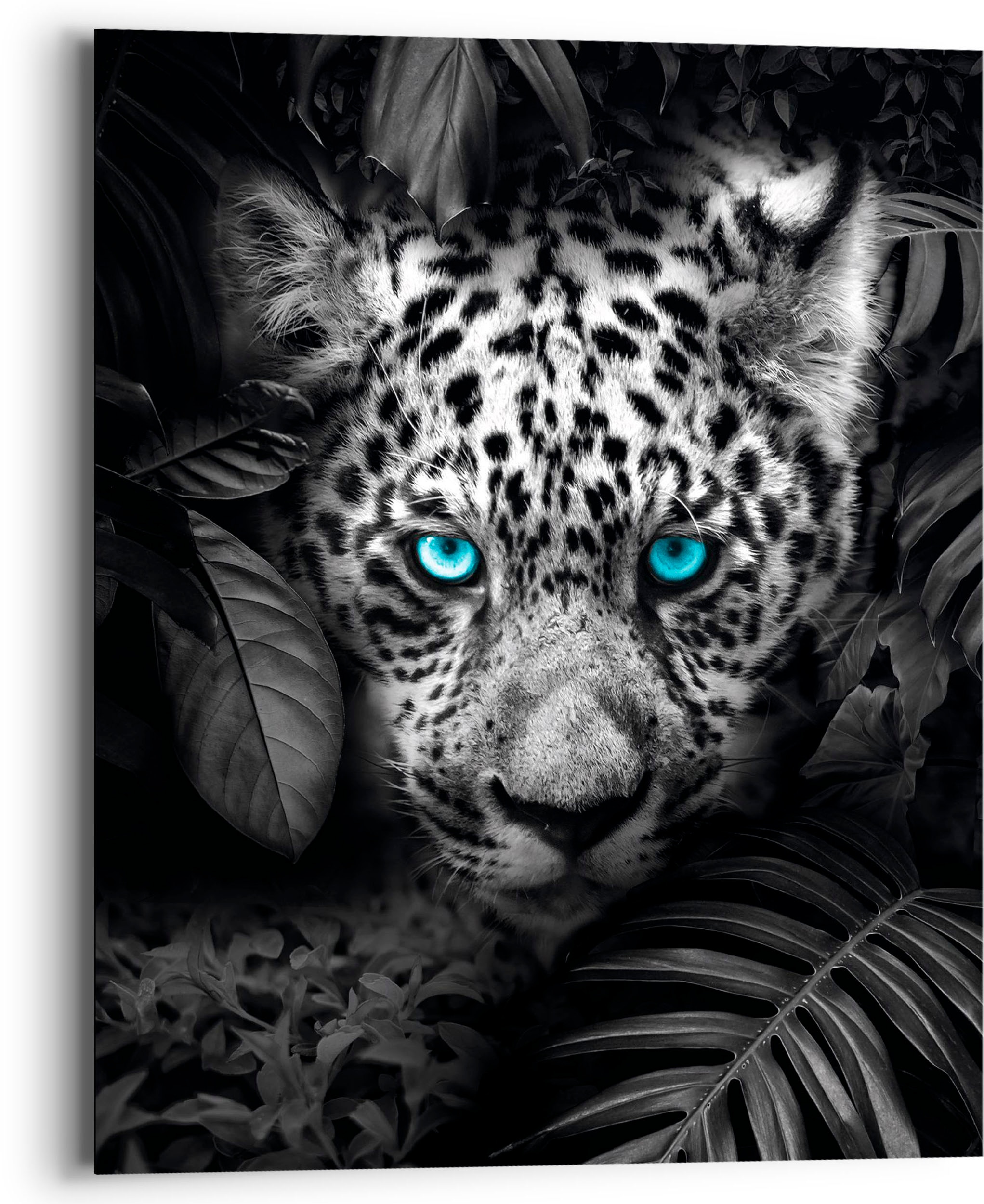 Reinders Holzbild "Blue Eyed Leopard" 1 Stk. tlg. günstig online kaufen