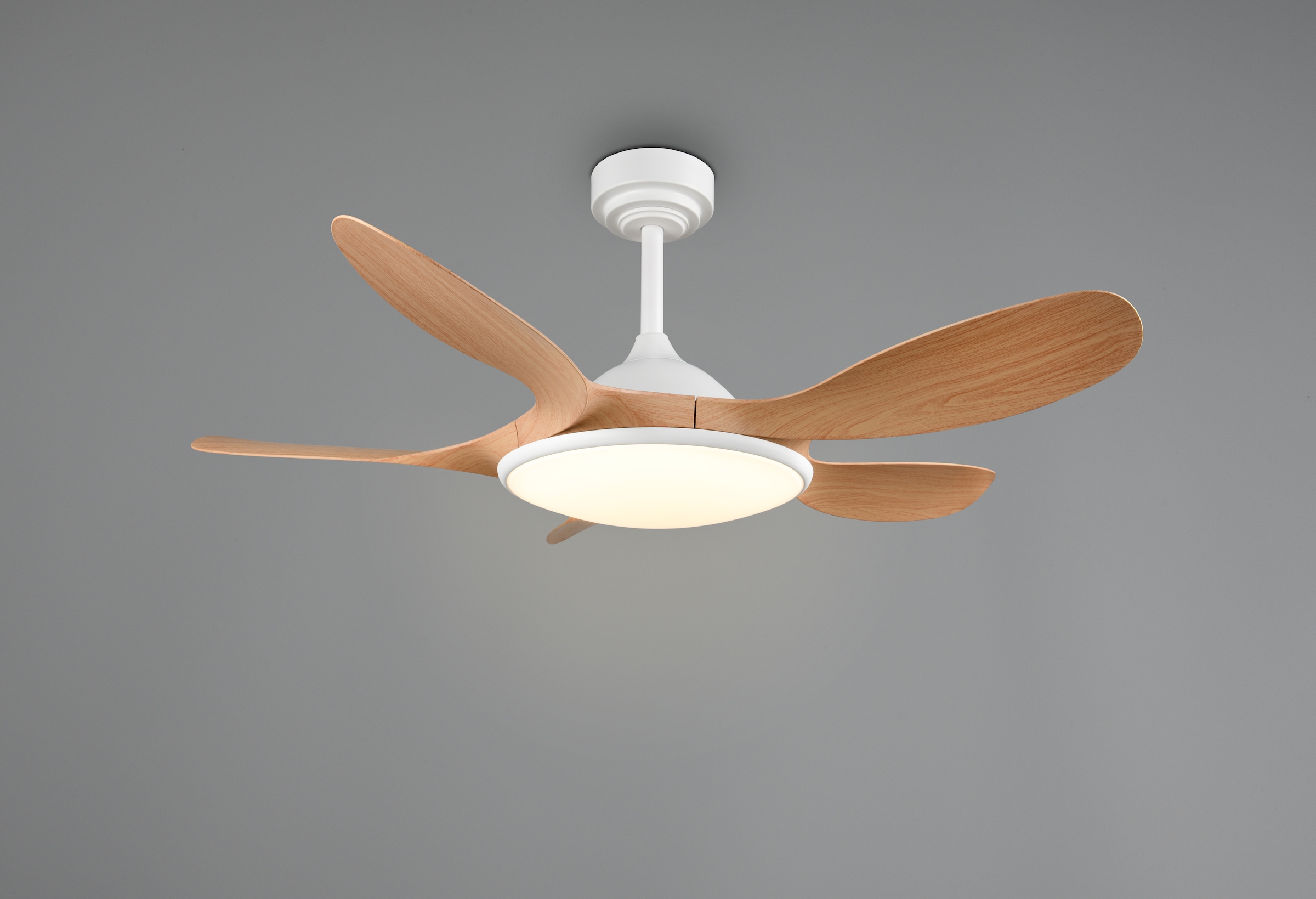 REALITY Leuchten LED Deckenleuchte »FLEN mit Ventilator, großer Deckenventilator Ø 108cm mit 24W LED CCT« LED-Board 1 Stk. Farbwechsler | warmweiß - kaltweiß Fernbedienung 6 Geschwindigkeiten Timer Vor- & Rücklauf dimmbar