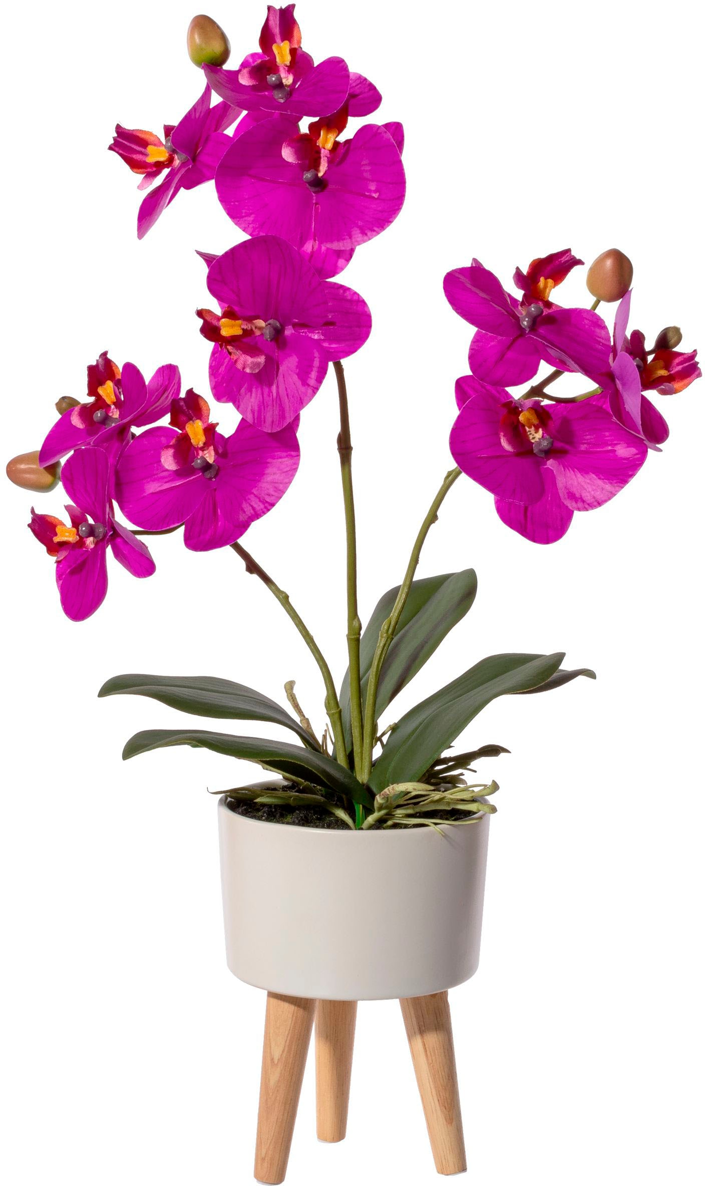 Creativ green Kunstorchidee »Orchidee Phalaenopsis in Keramikschale«, mit Real-Touch-Blüten und auf Füßen