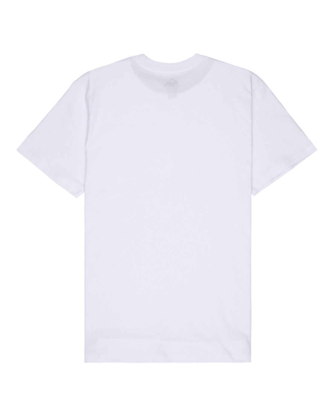 Quiksilver T-Shirt »Salt Water 2024«