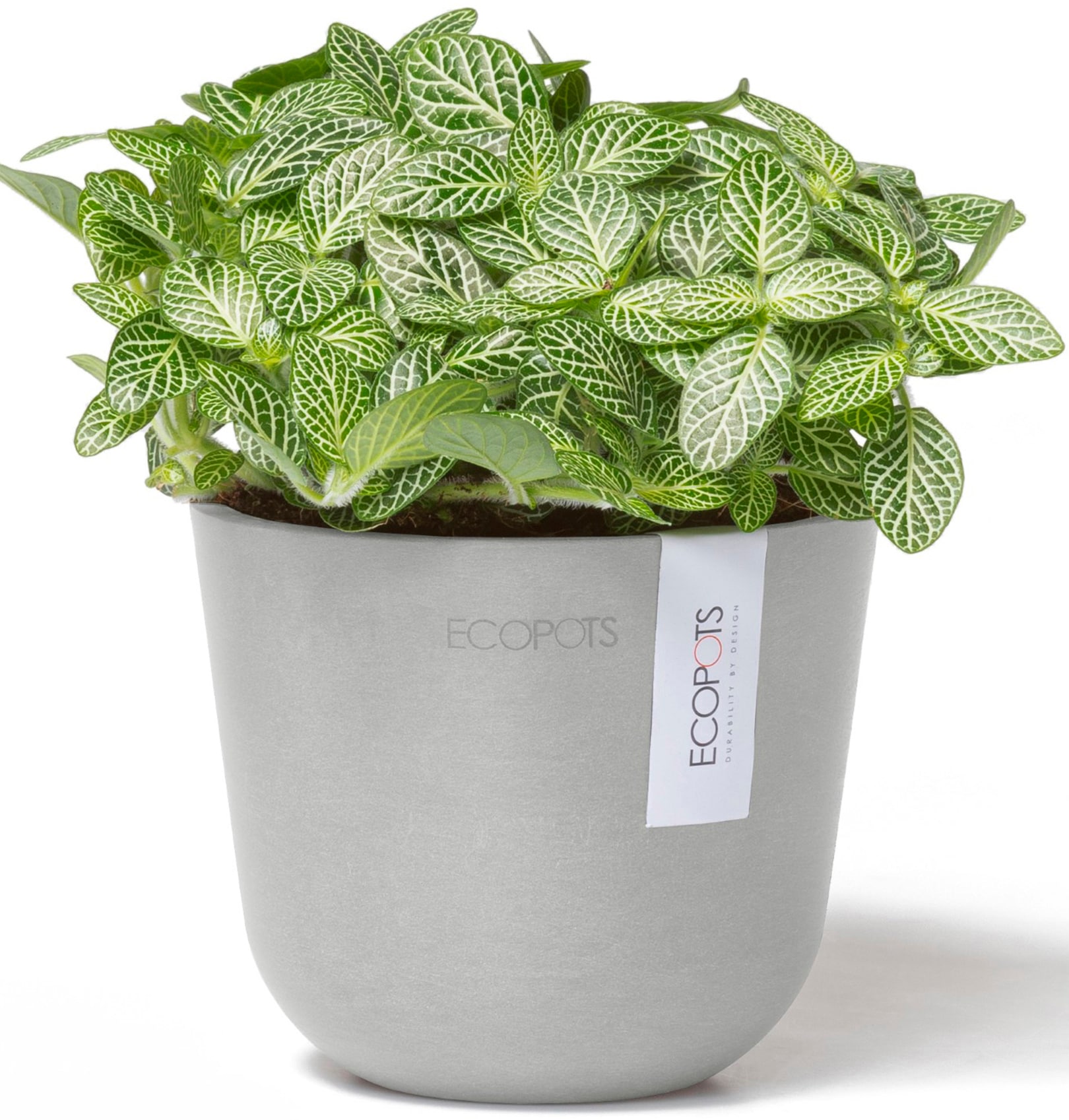 ECOPOTS Blumentopf »Oslo Mini 11,5 Weißgrau«, für den Innenbereich